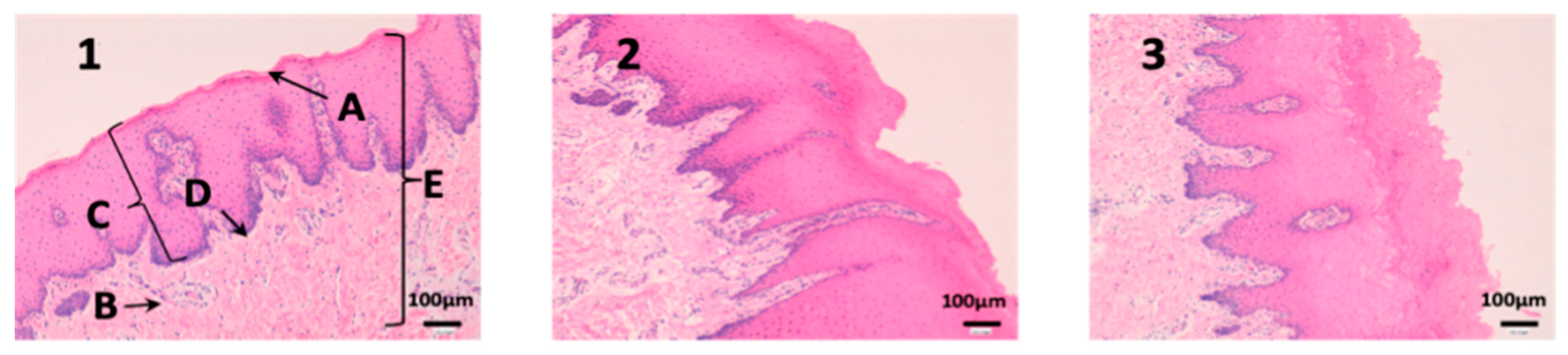 Nanomaterials 10 00355 g008
