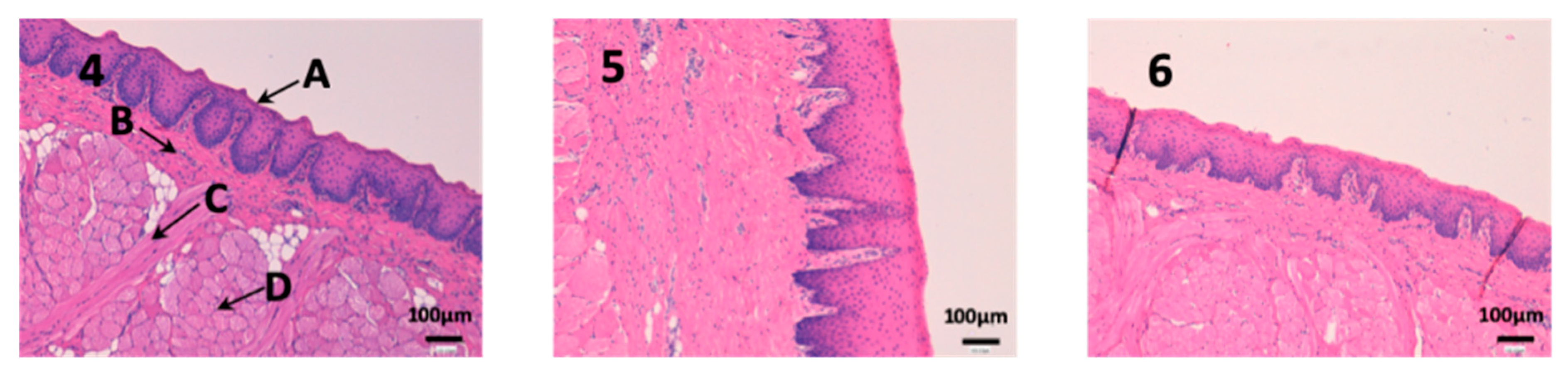Nanomaterials 10 00355 g009