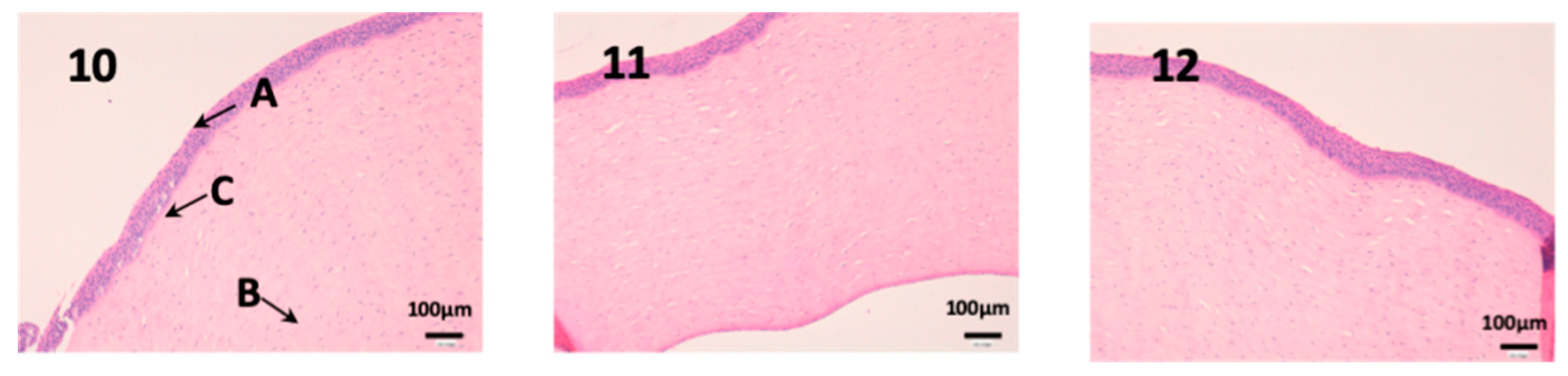 Nanomaterials 10 00355 g011