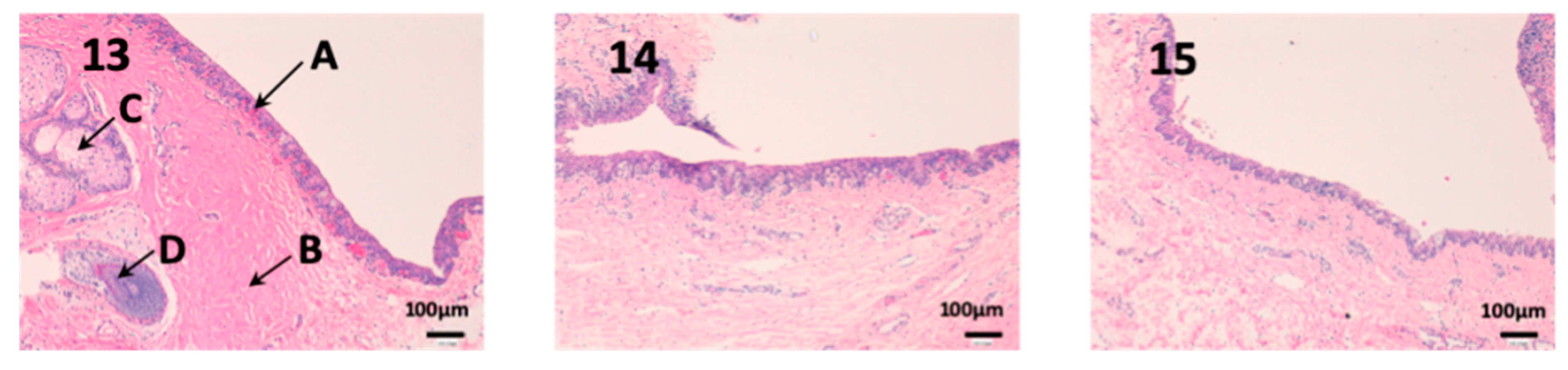 Nanomaterials 10 00355 g012