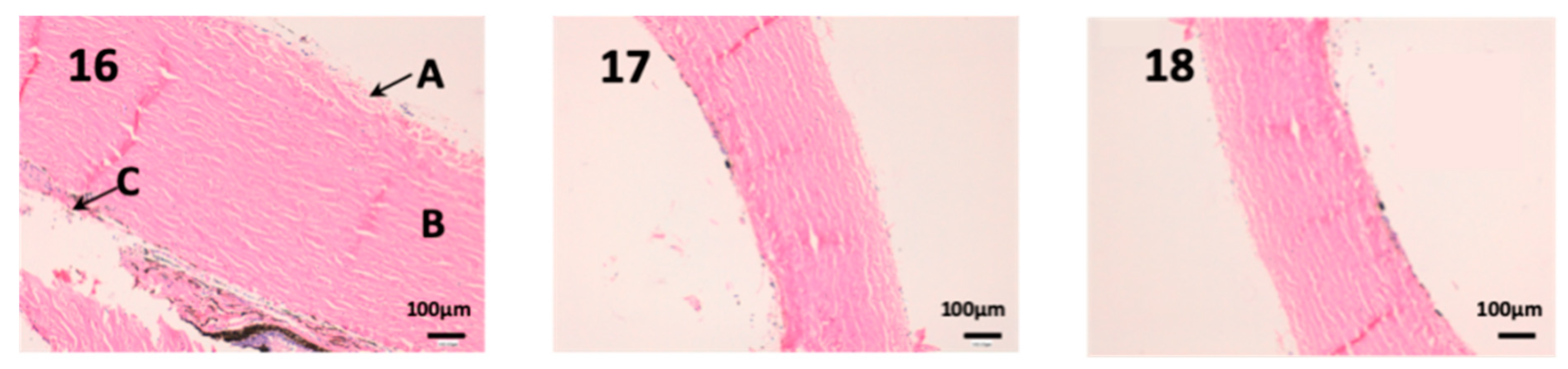 Nanomaterials 10 00355 g013