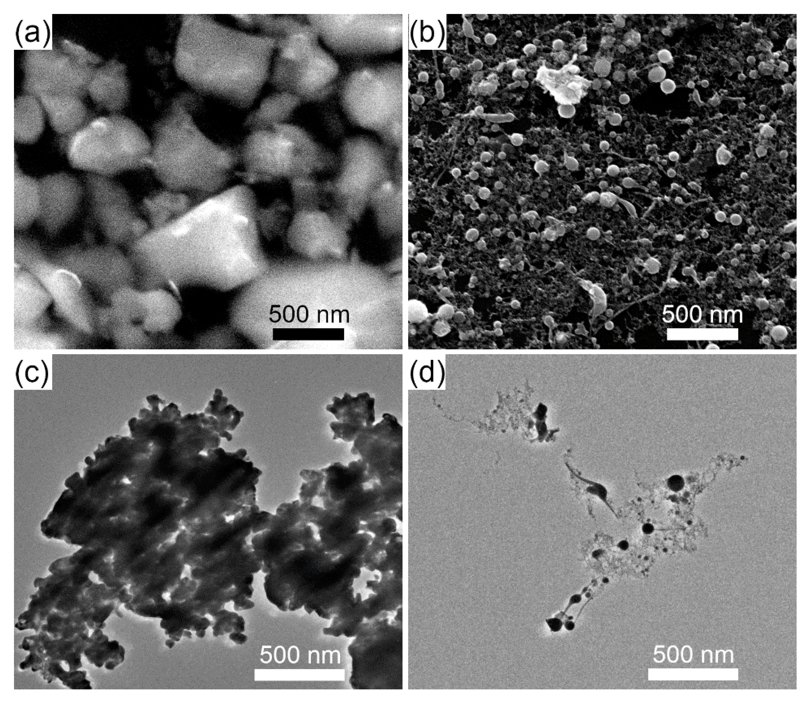 Nanomaterials 10 00359 g003 Nanomaterials 10 00359 g003
