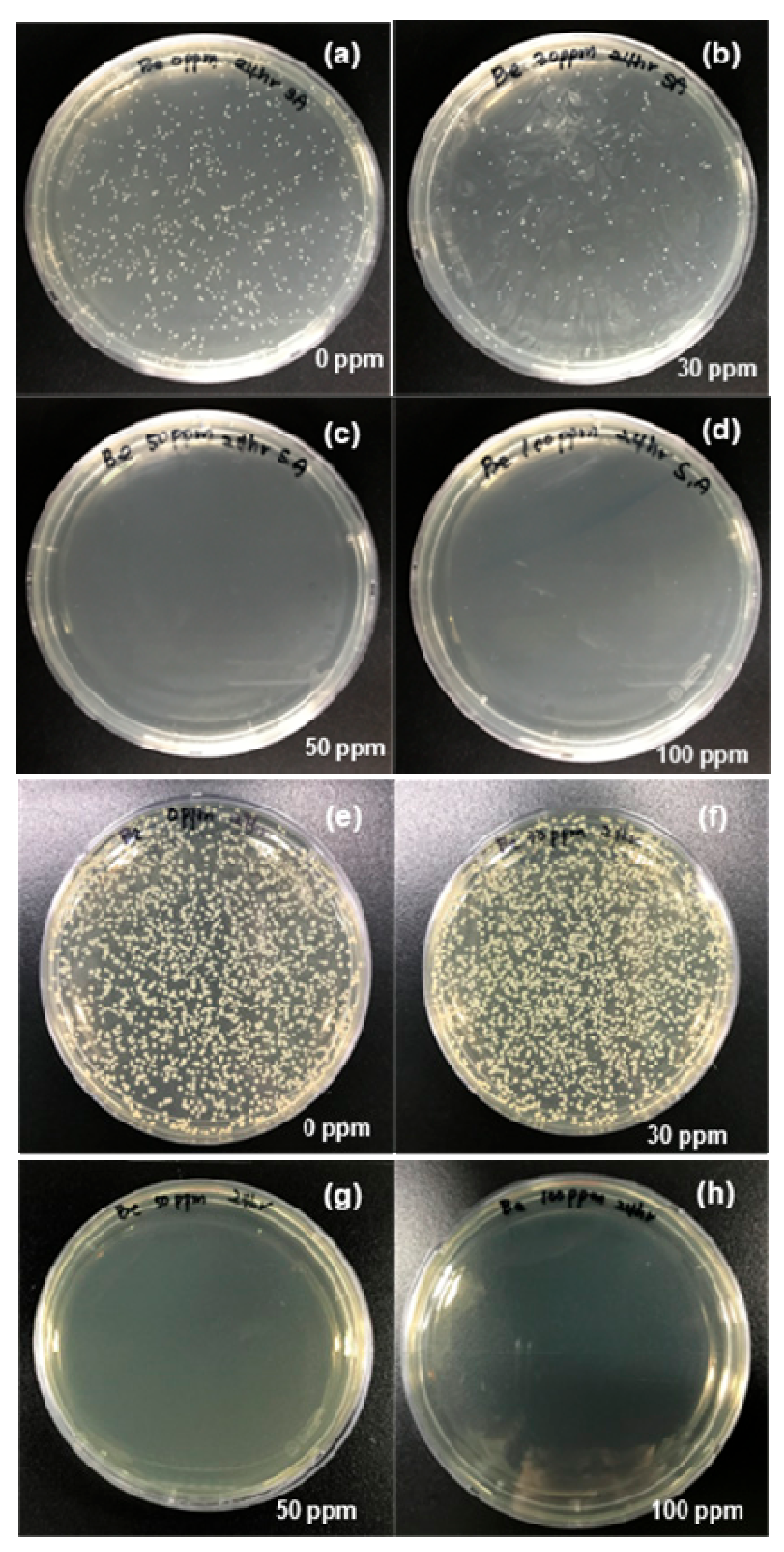 Nanomaterials 10 00360 g006 Nanomaterials 10 00360 g006