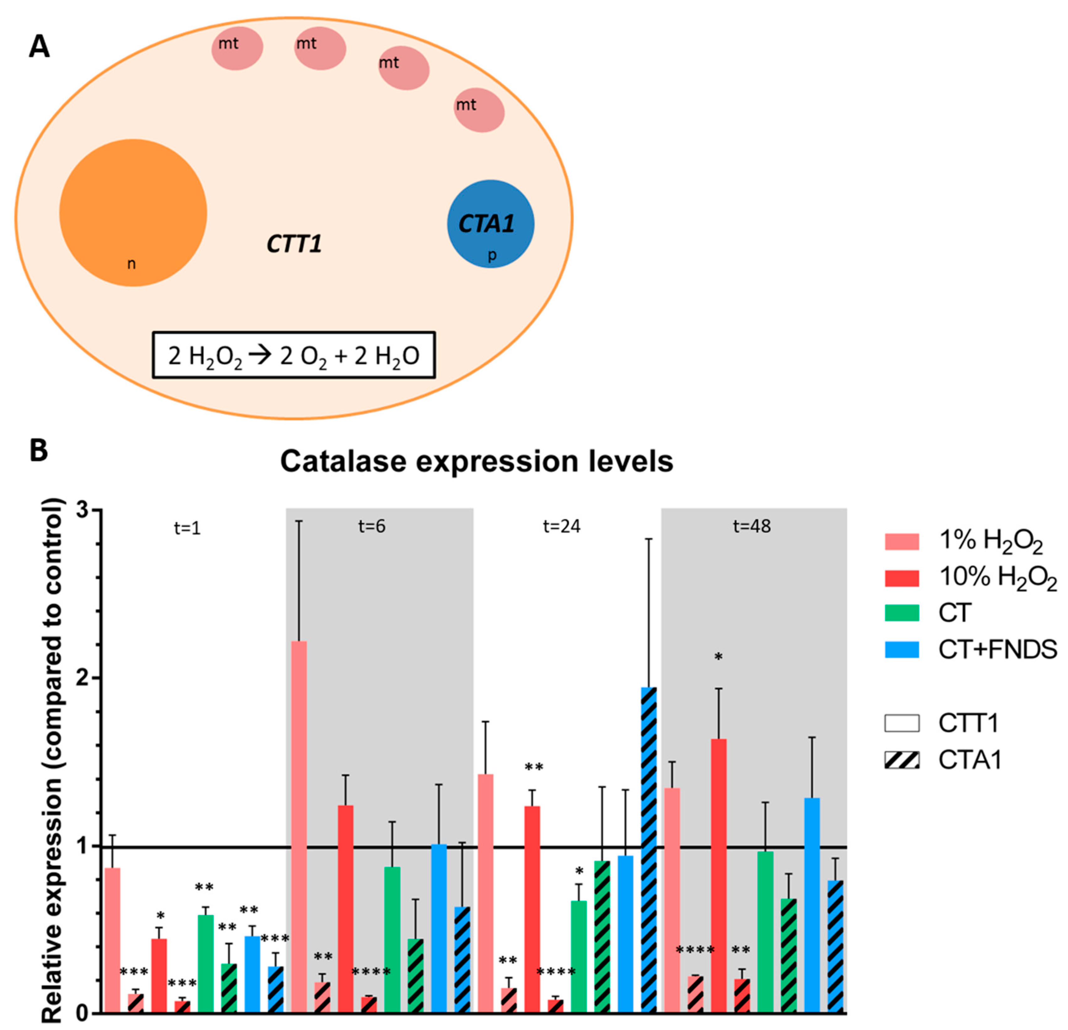 Nanomaterials 10 00372 g002