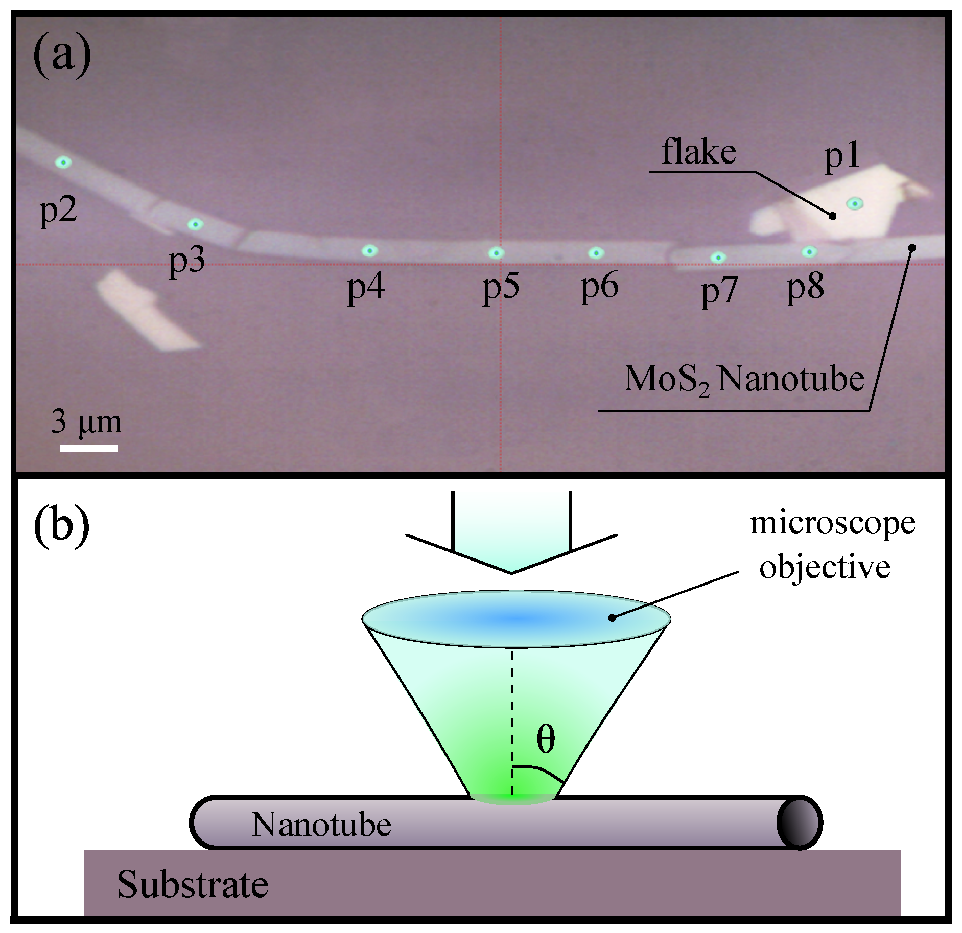 Nanomaterials 10 00373 g001