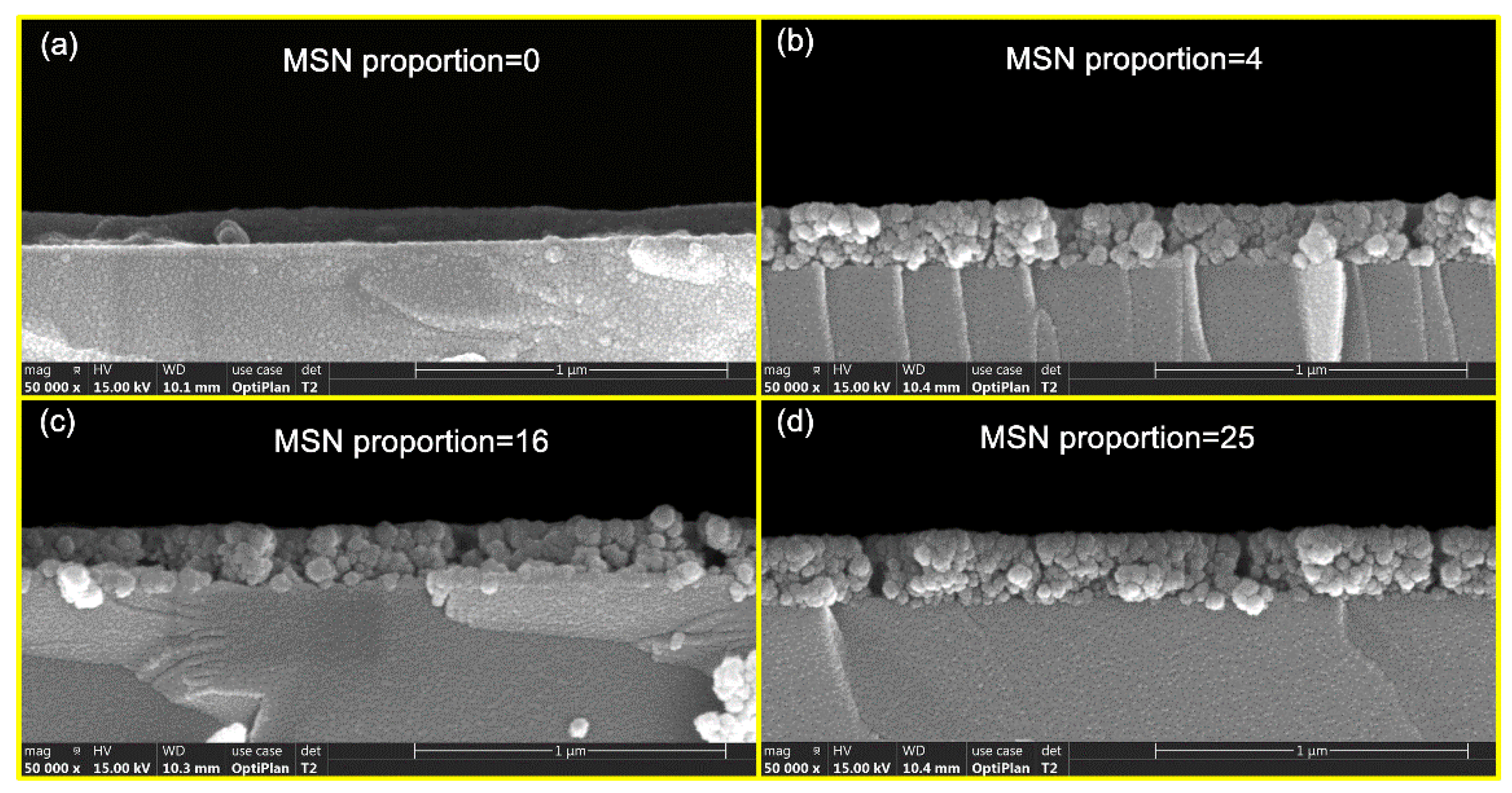 Nanomaterials 10 00381 g004 Nanomaterials 10 00381 g004