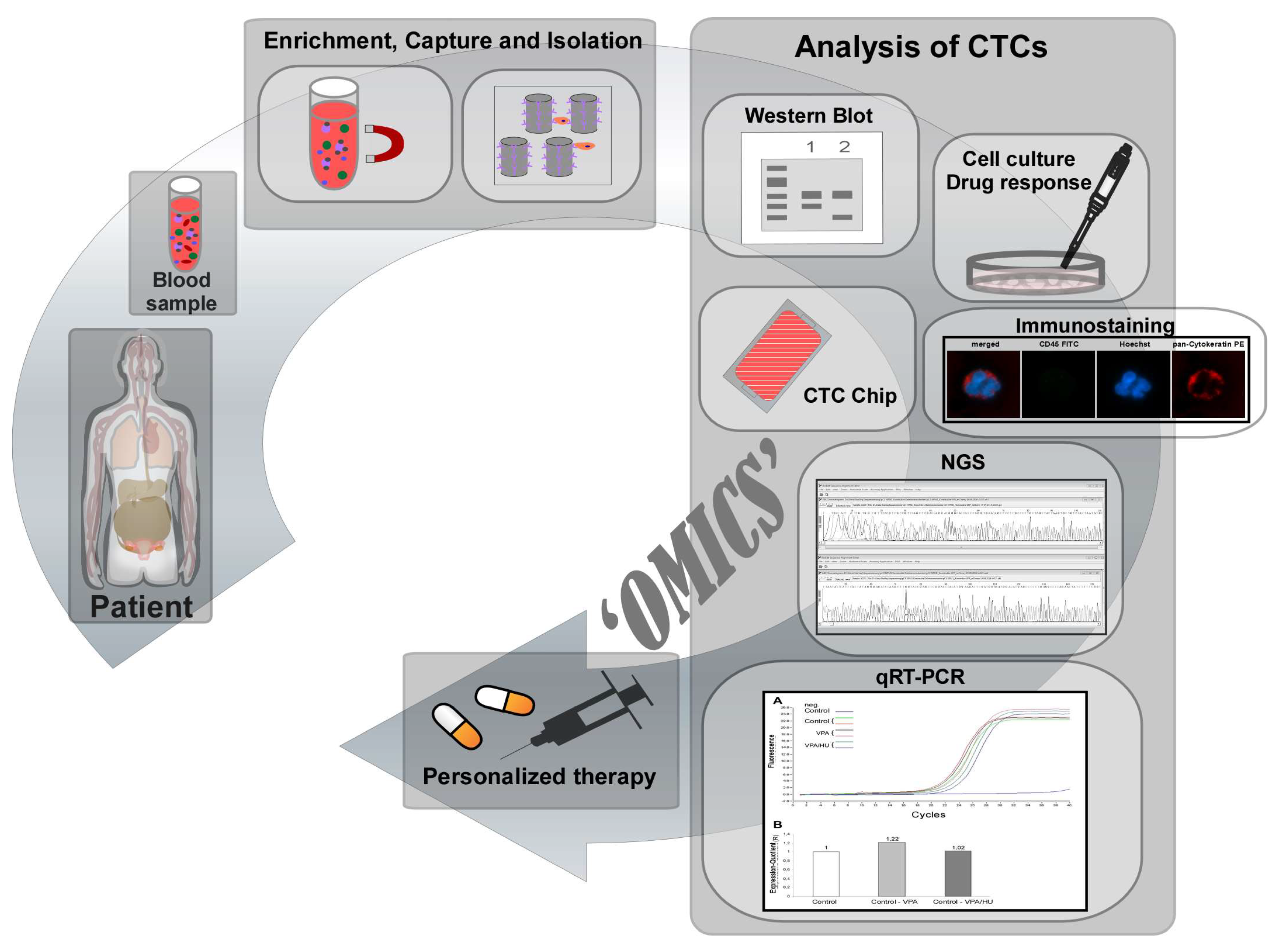 Nanomaterials 10 00383 g001 Nanomaterials 10 00383 g001
