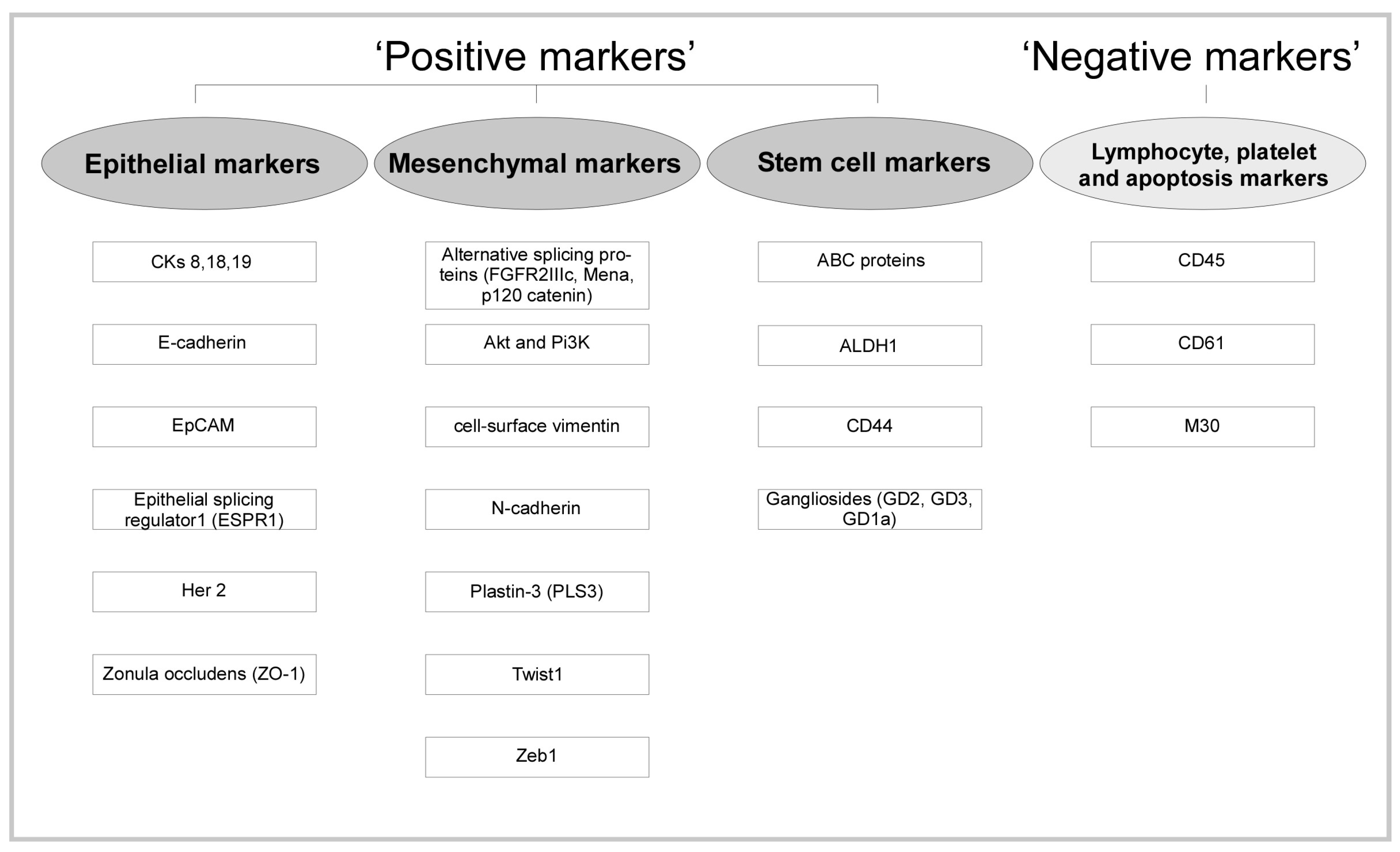 Nanomaterials 10 00383 g002 Nanomaterials 10 00383 g002