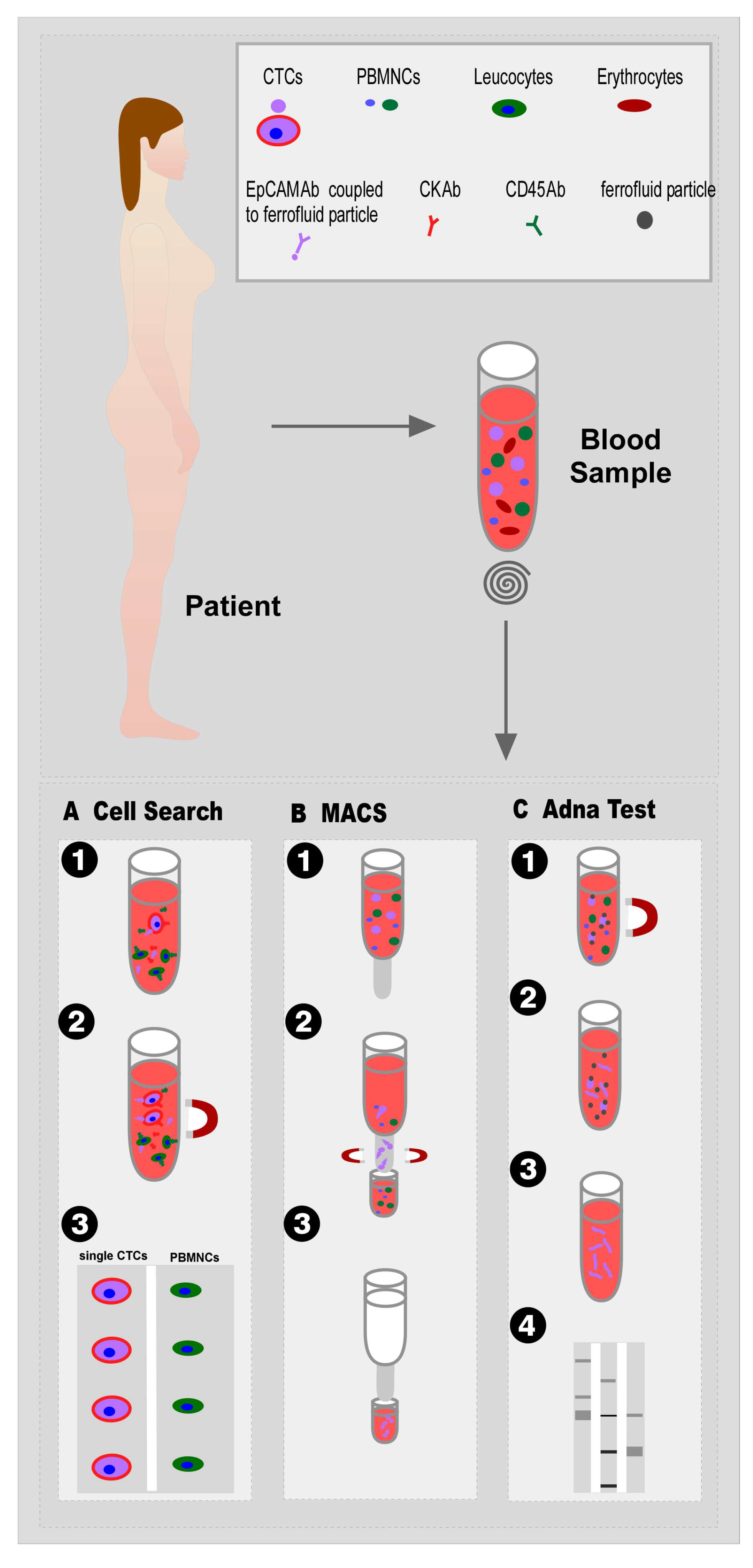 Nanomaterials 10 00383 g003 Nanomaterials 10 00383 g003