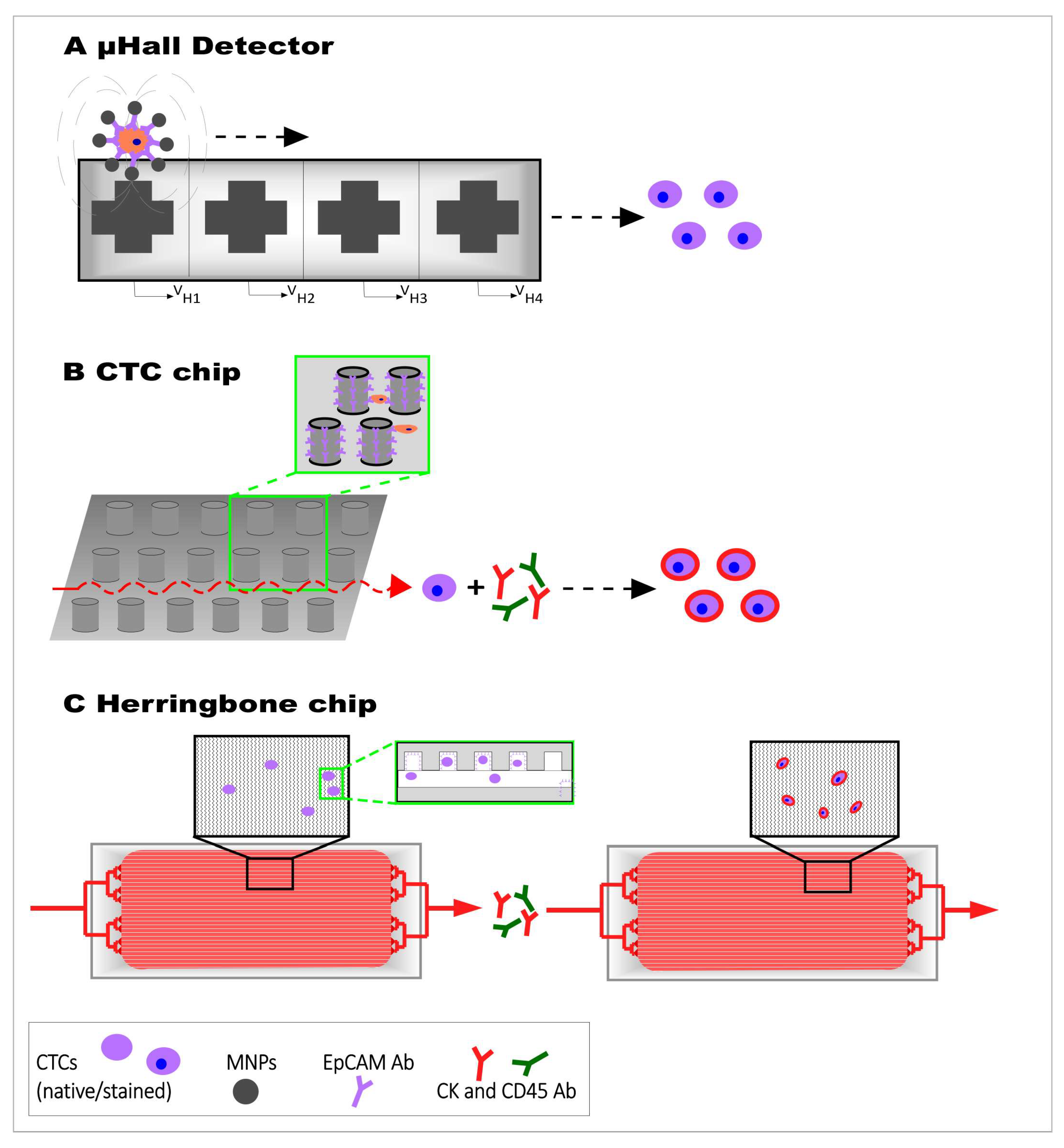 Nanomaterials 10 00383 g005 Nanomaterials 10 00383 g005