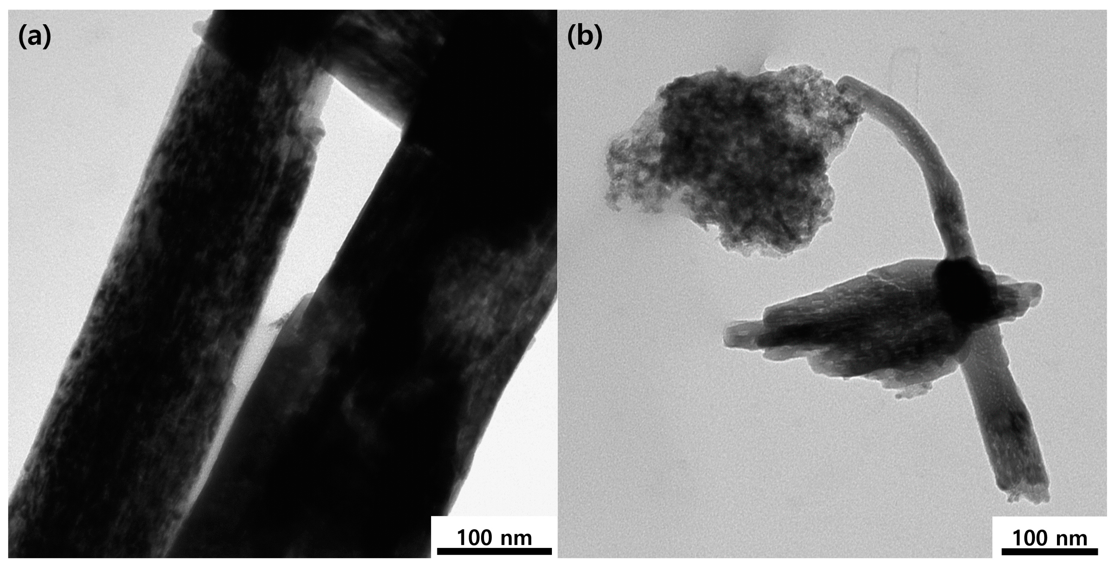 Nanomaterials 10 00392 g005