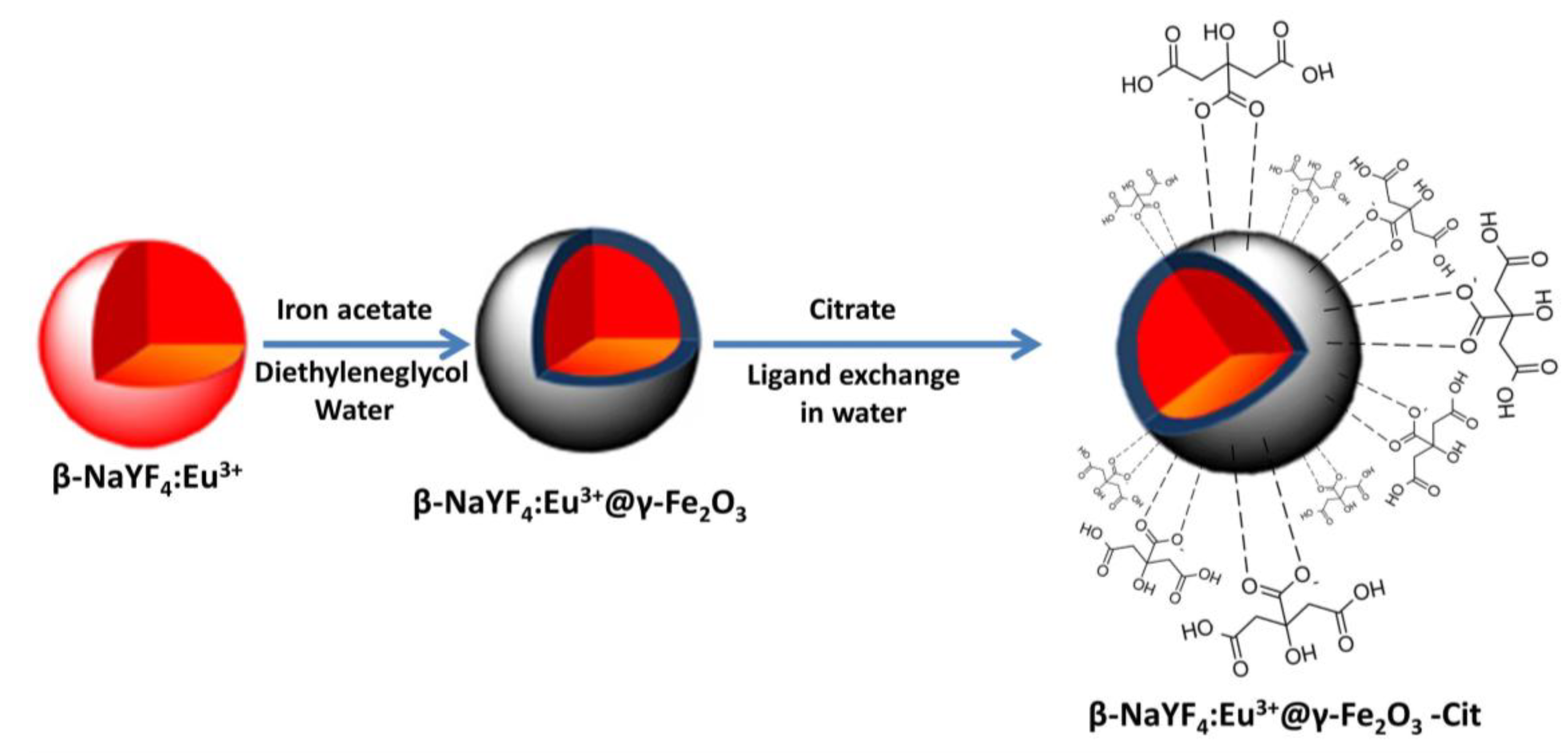 Nanomaterials 10 00393 g001