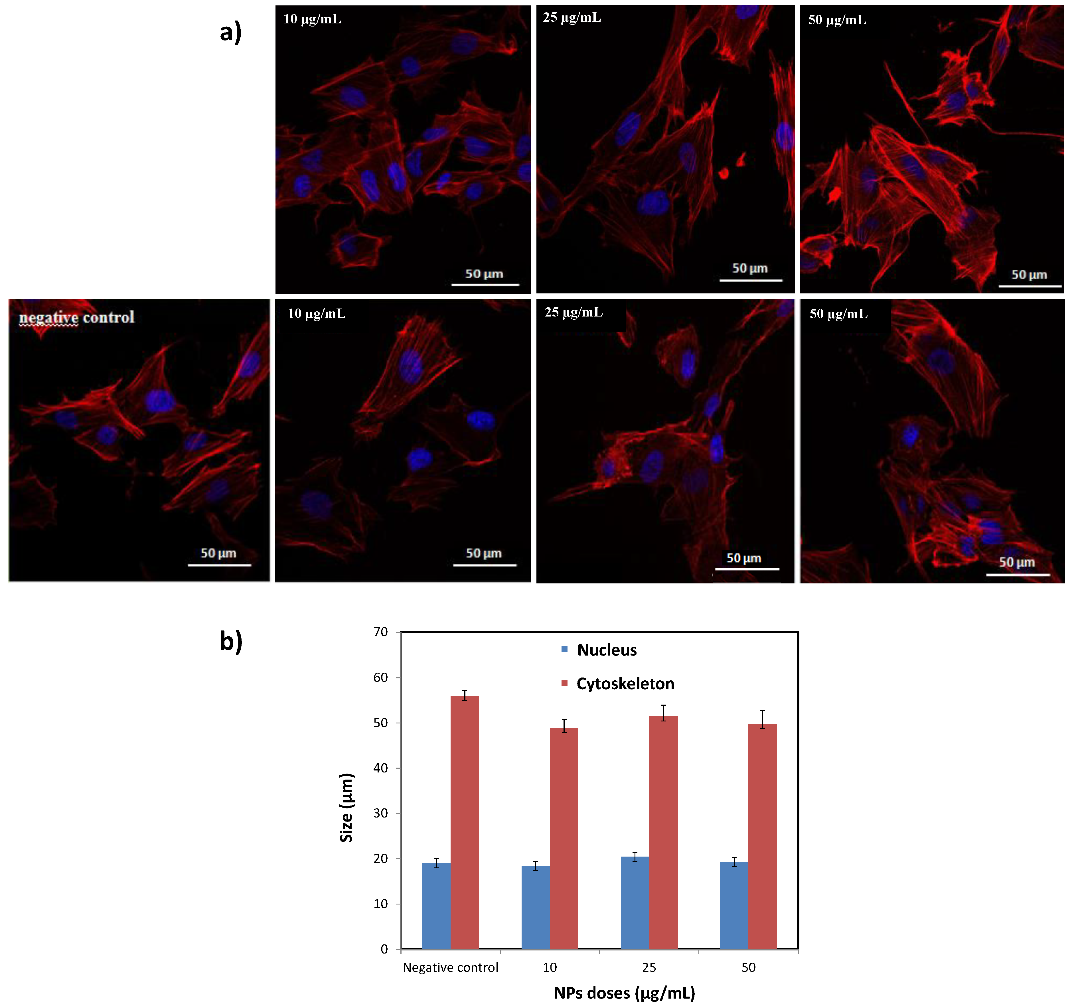 Nanomaterials 10 00393 g010