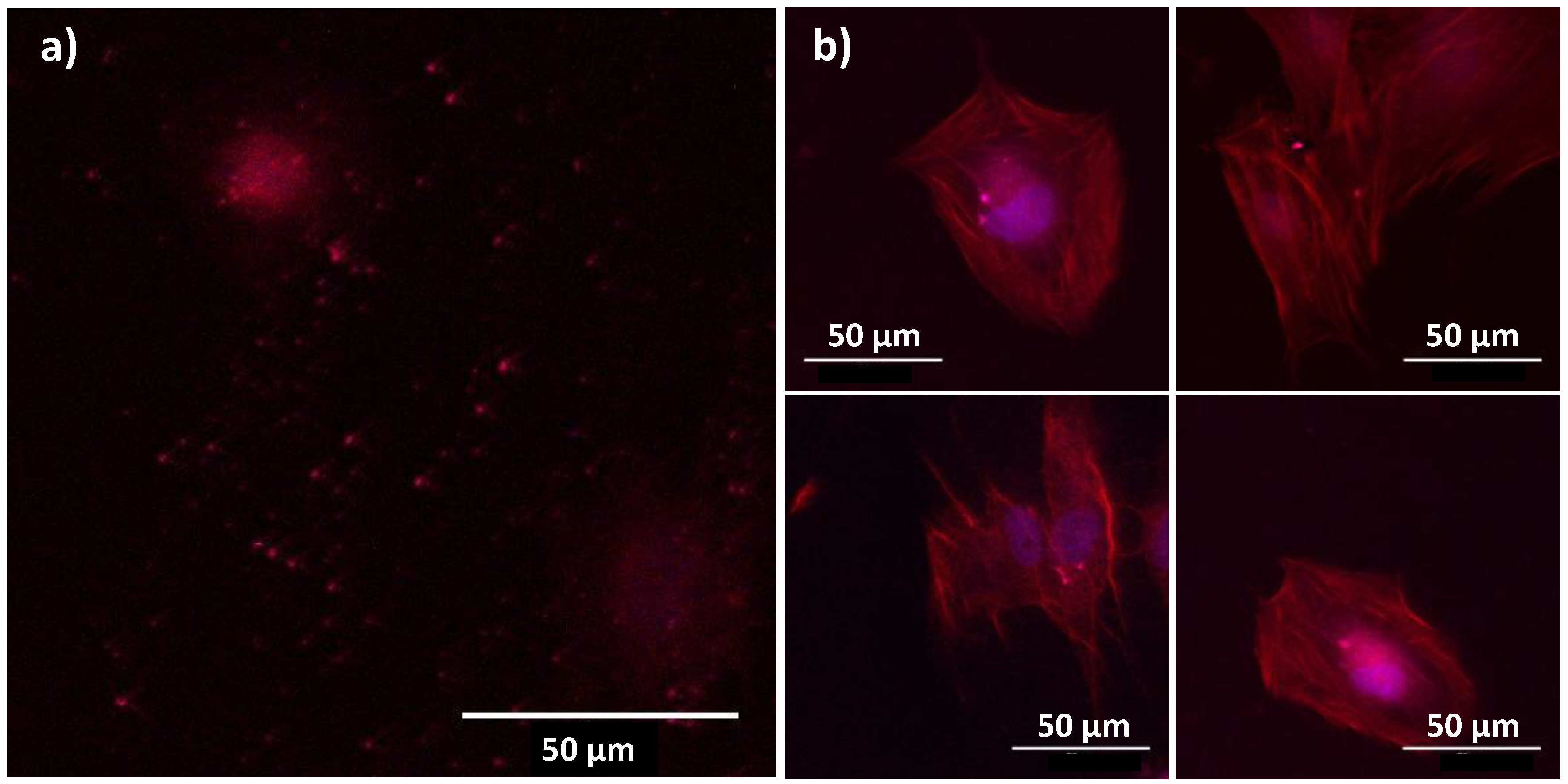 Nanomaterials 10 00393 g011