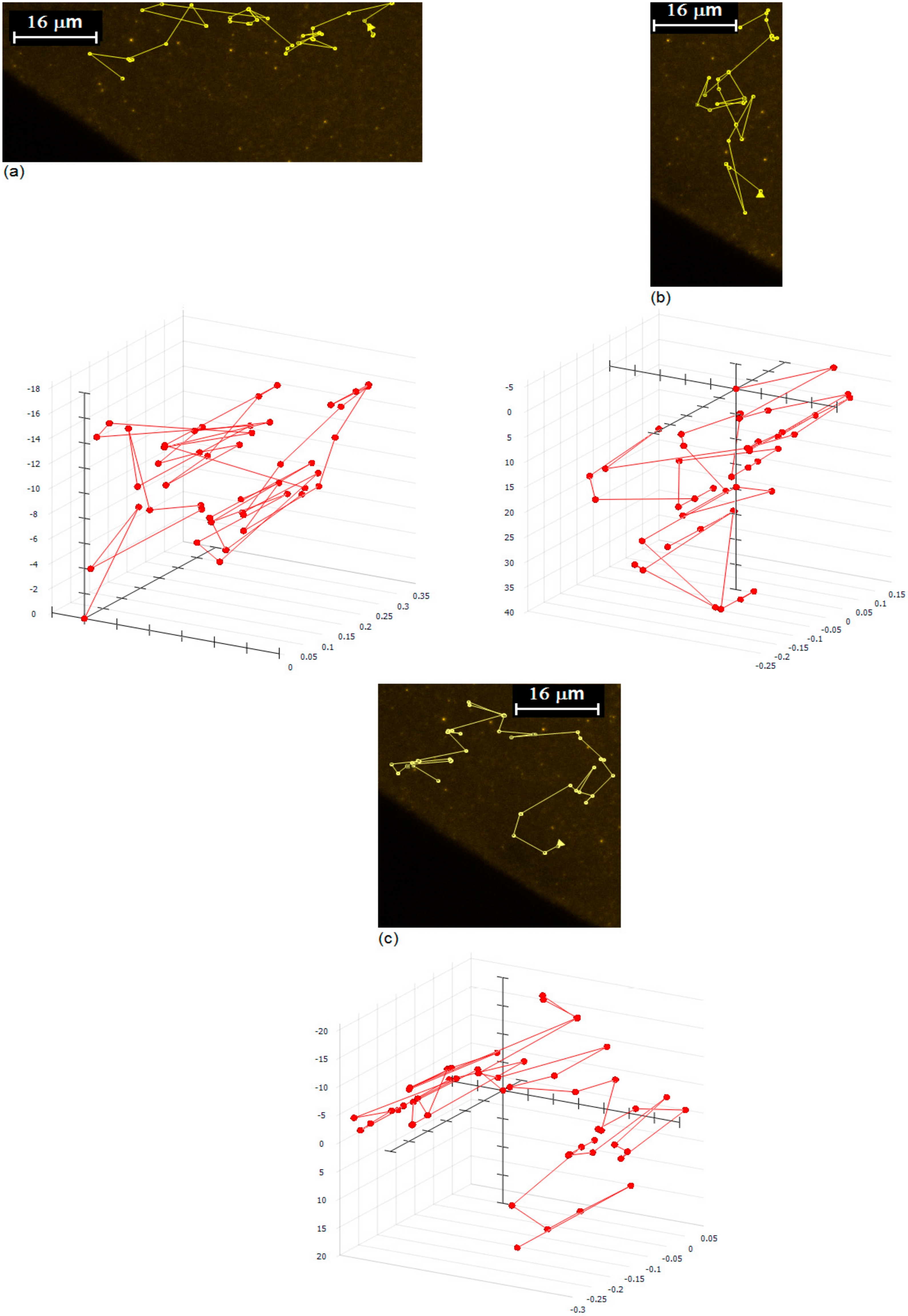 Nanomaterials 10 00397 g003
