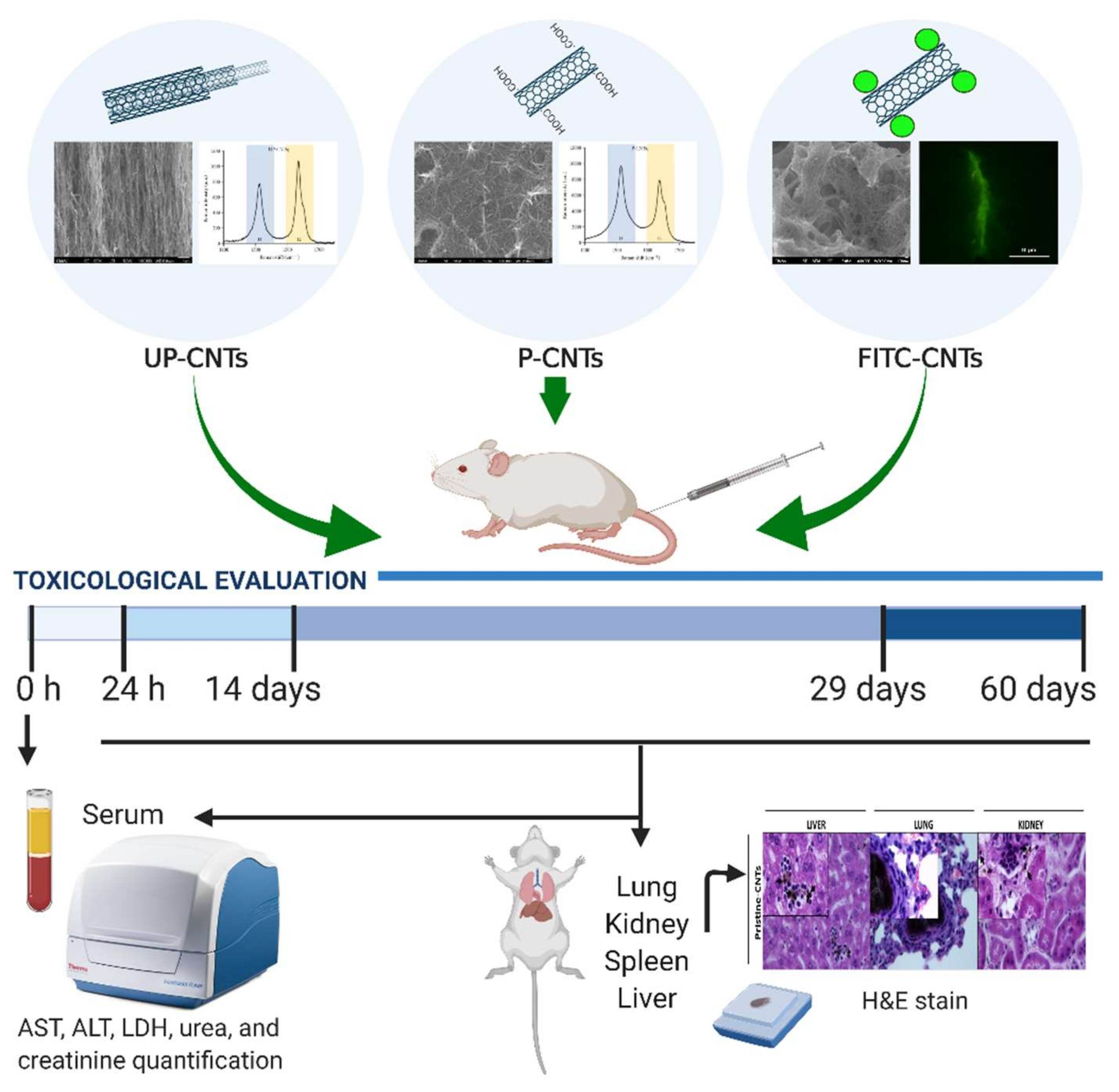 Nanomaterials 10 00400 g001