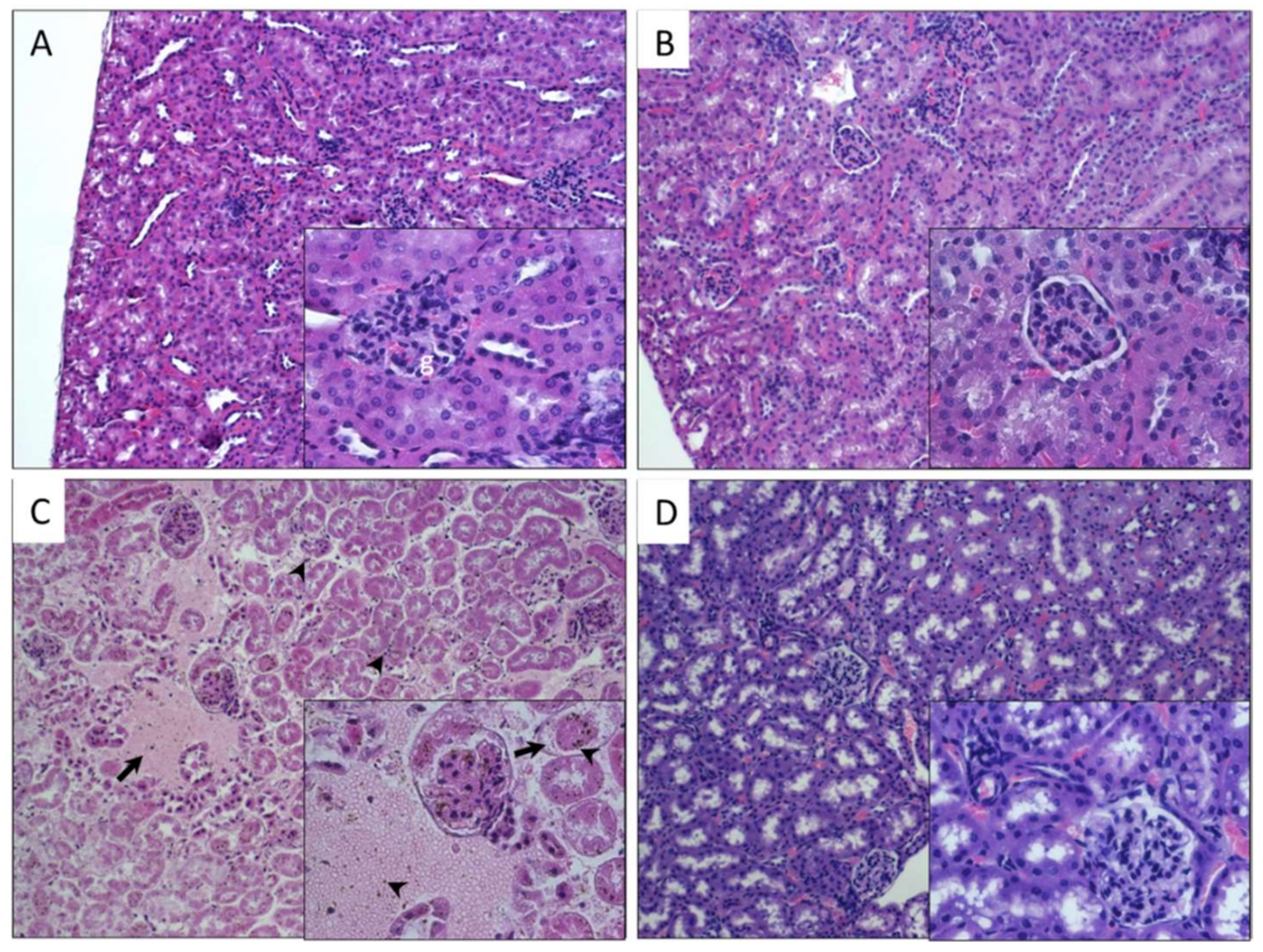 Nanomaterials 10 00400 g004