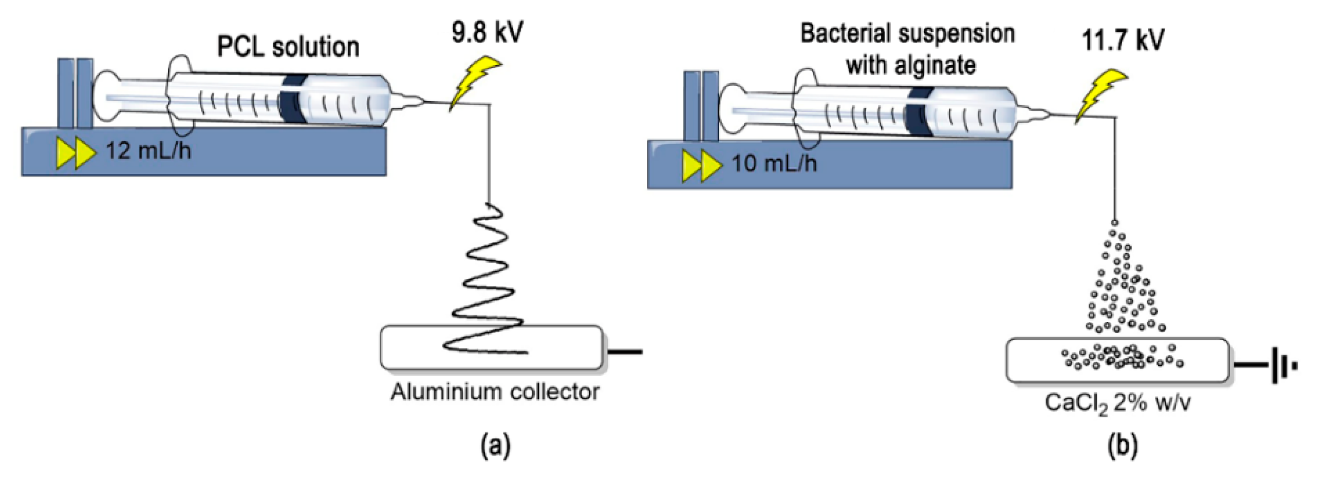 Nanomaterials 10 00408 g001 Nanomaterials 10 00408 g001