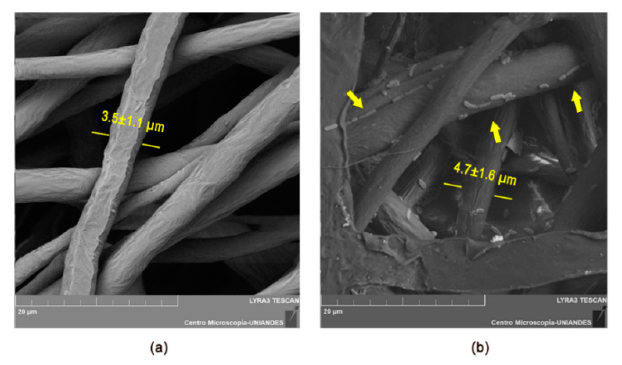 Nanomaterials 10 00408 g002 Nanomaterials 10 00408 g002