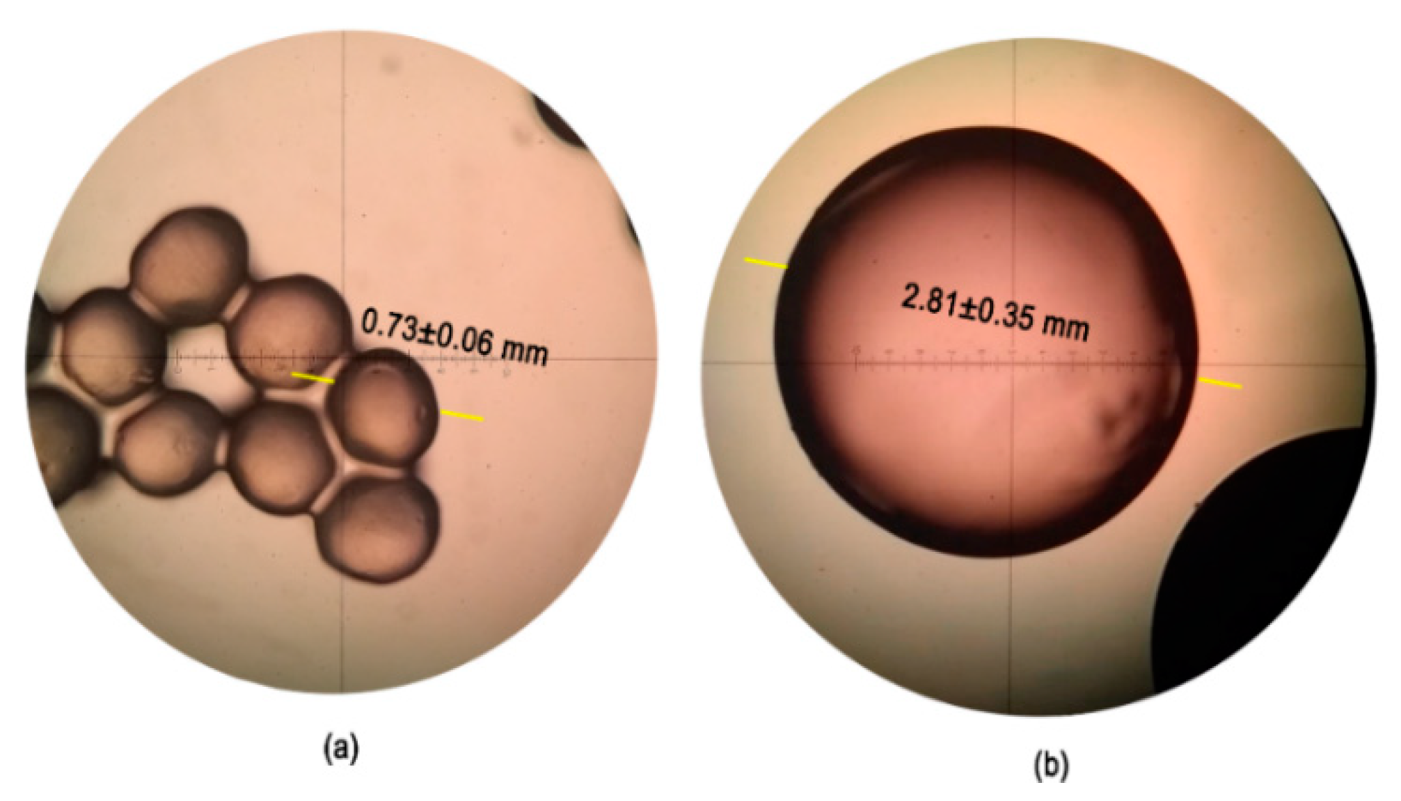 Nanomaterials 10 00408 g003 Nanomaterials 10 00408 g003