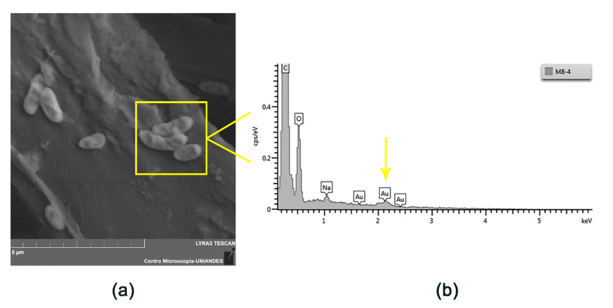 Nanomaterials 10 00408 g005 Nanomaterials 10 00408 g005