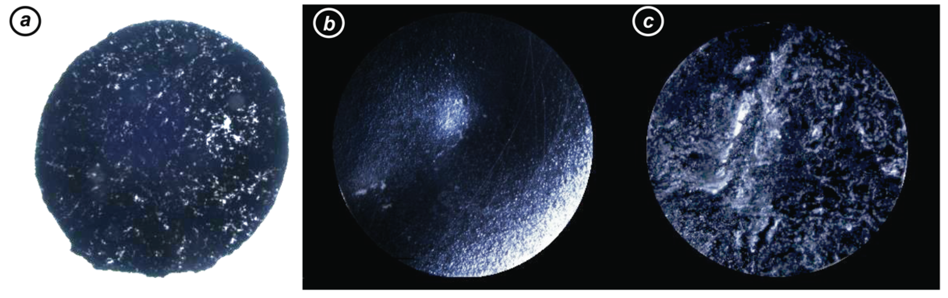 Nanomaterials 10 00415 g002