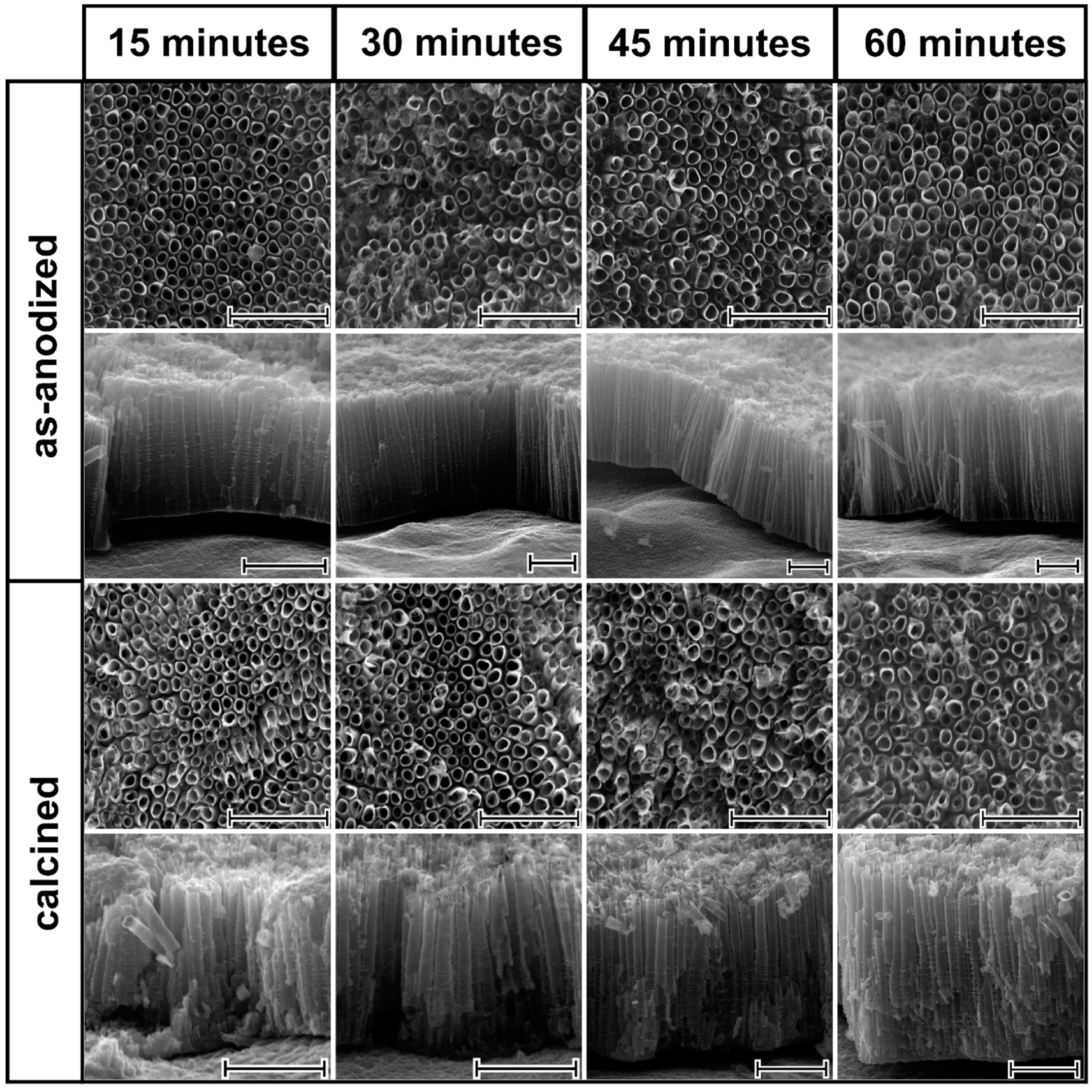 Nanomaterials 10 00430 g001
