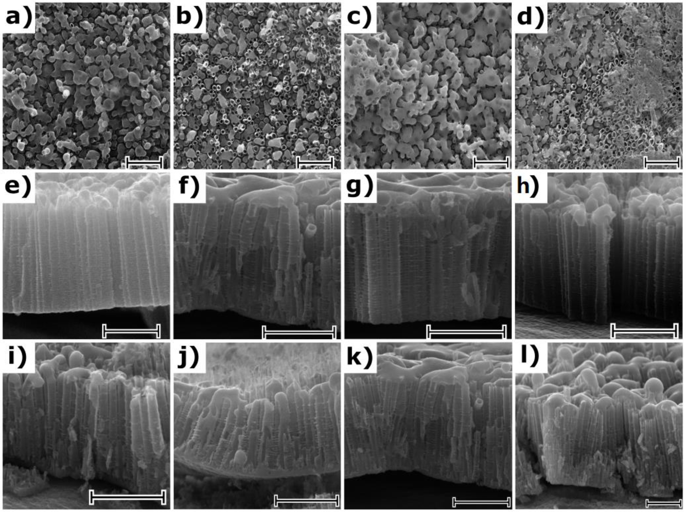 Nanomaterials 10 00430 g002