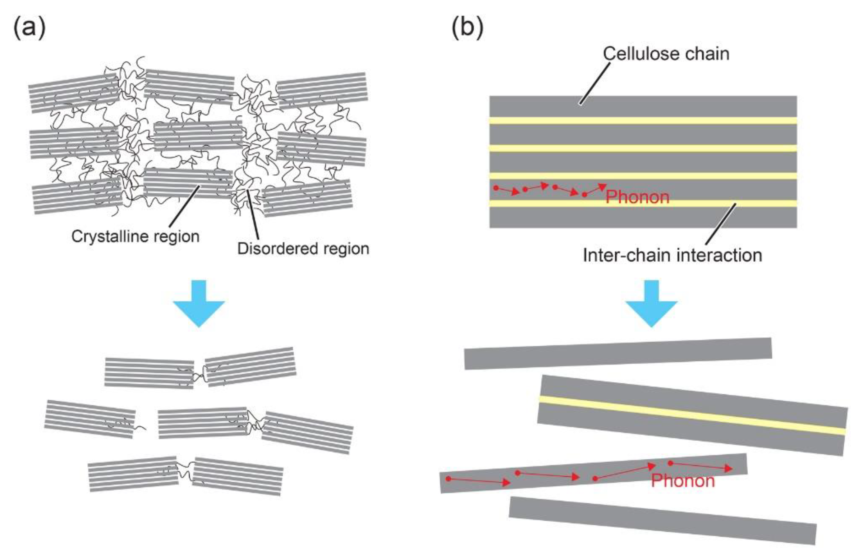Nanomaterials 10 00448 g003