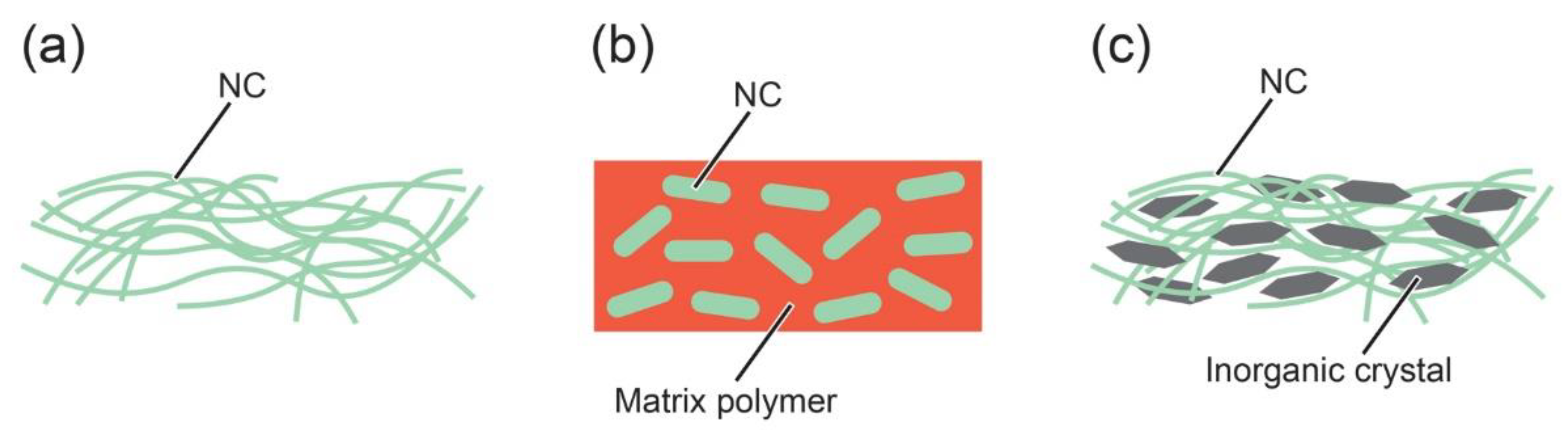 Nanomaterials 10 00448 g004