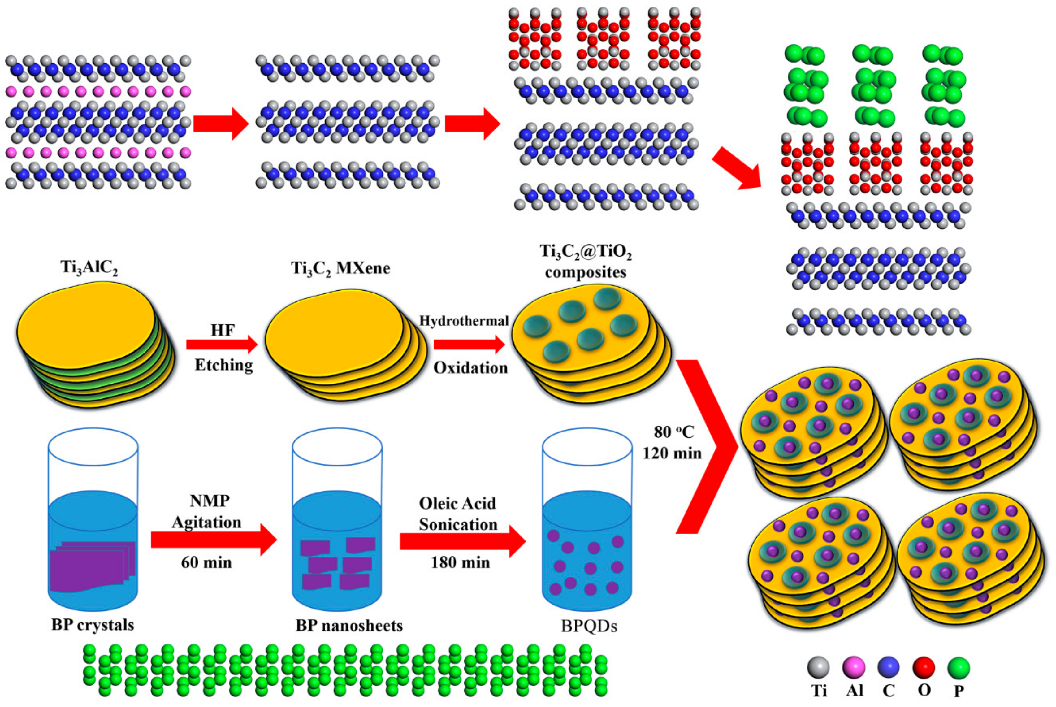 Nanomaterials 10 00452 g001
