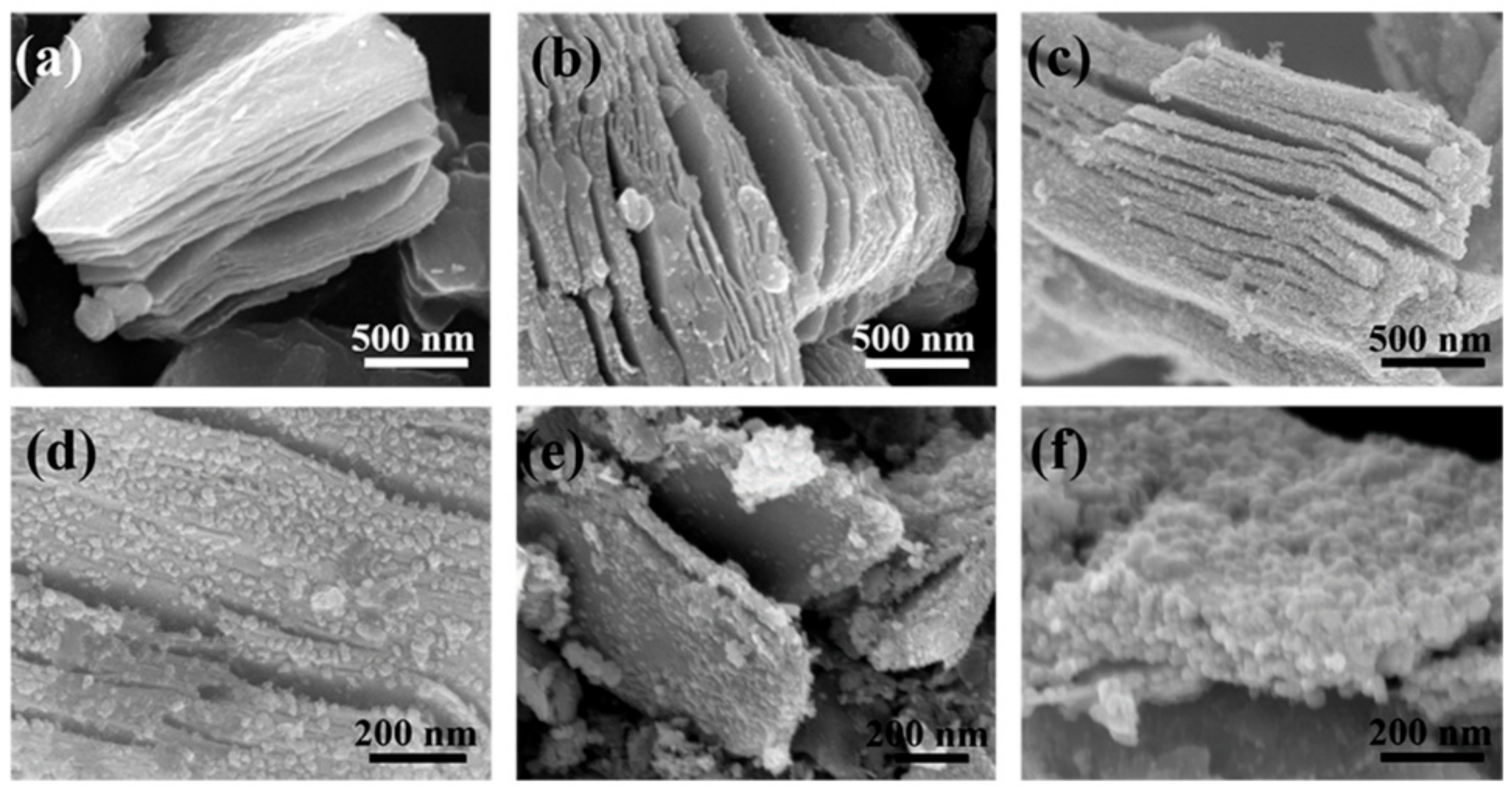 Nanomaterials 10 00452 g003