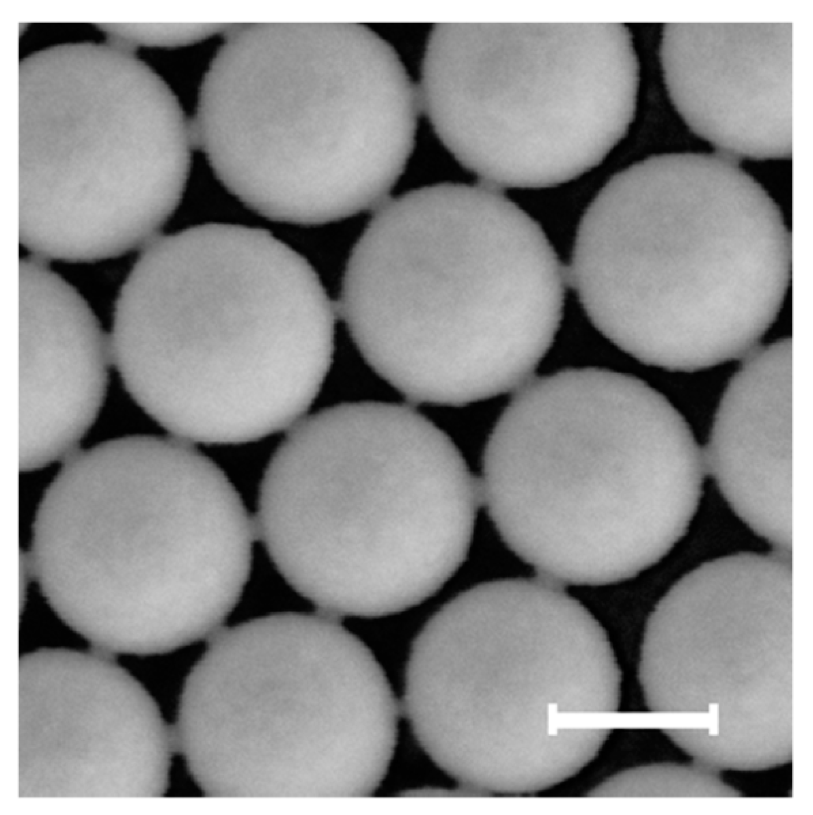 Nanomaterials 10 00453 g005