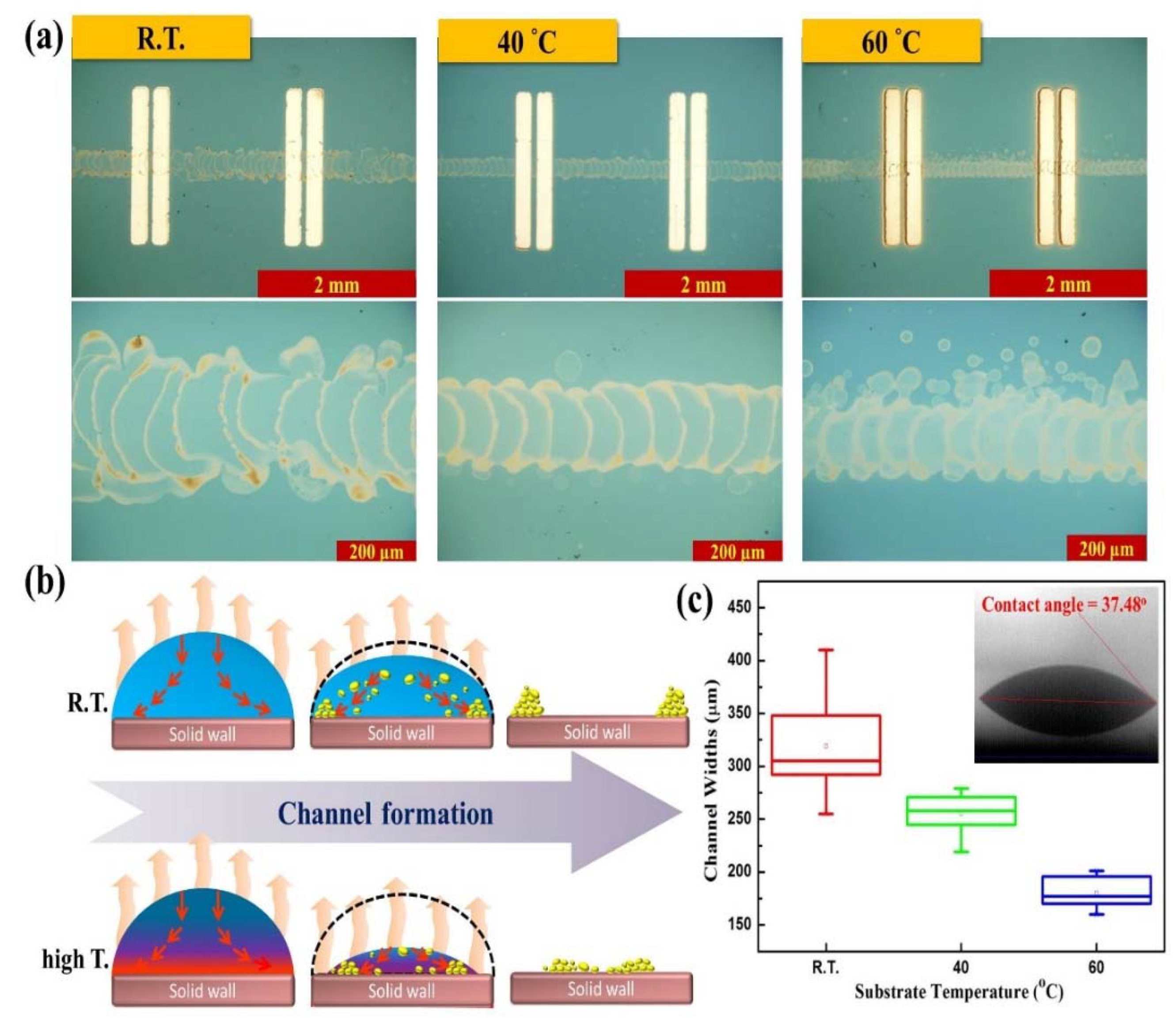 Nanomaterials 10 00458 g002