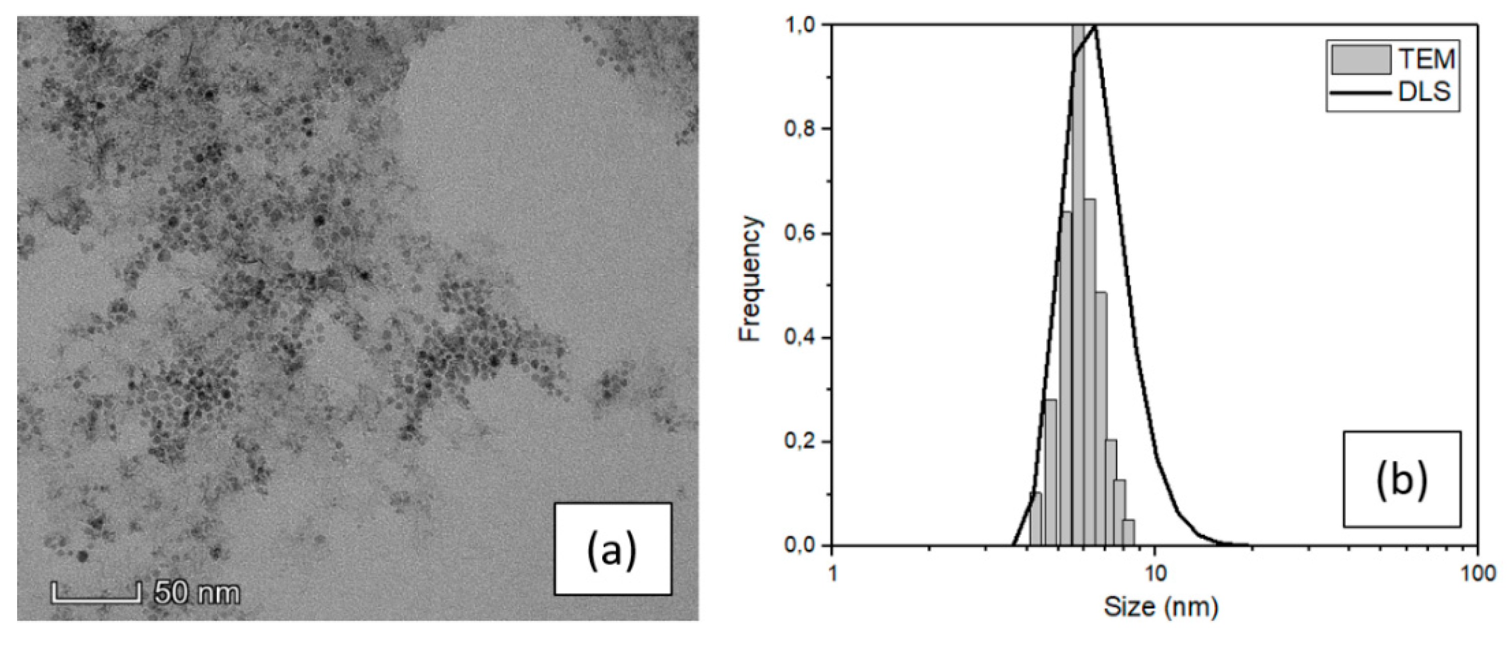 Nanomaterials 10 00463 g001