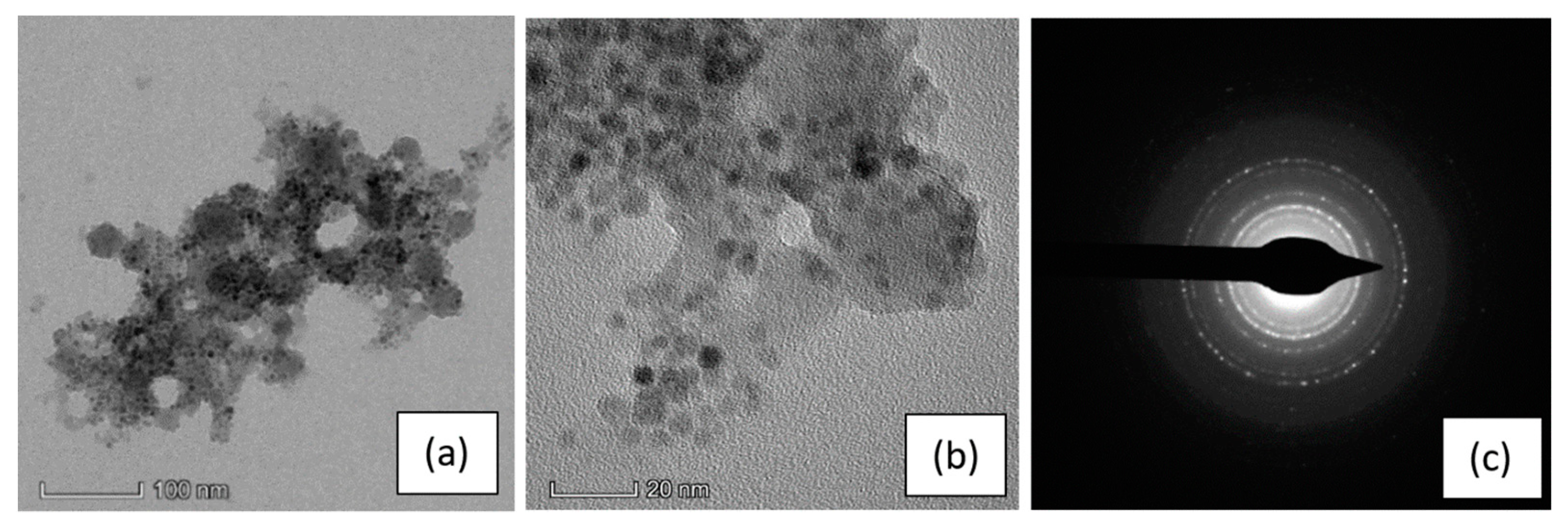 Nanomaterials 10 00463 g003