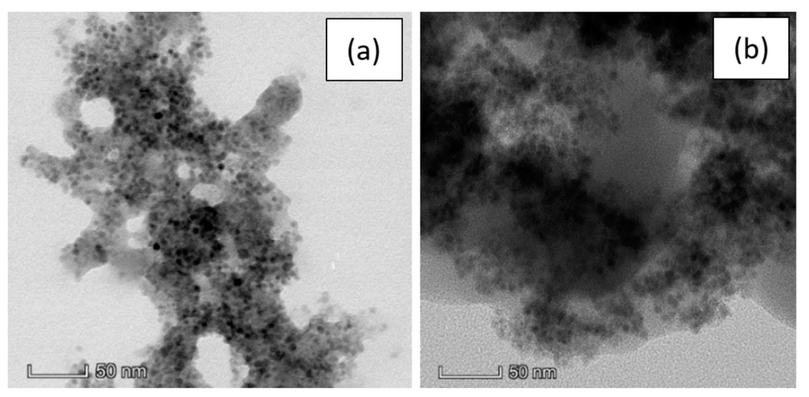 Nanomaterials 10 00463 g004