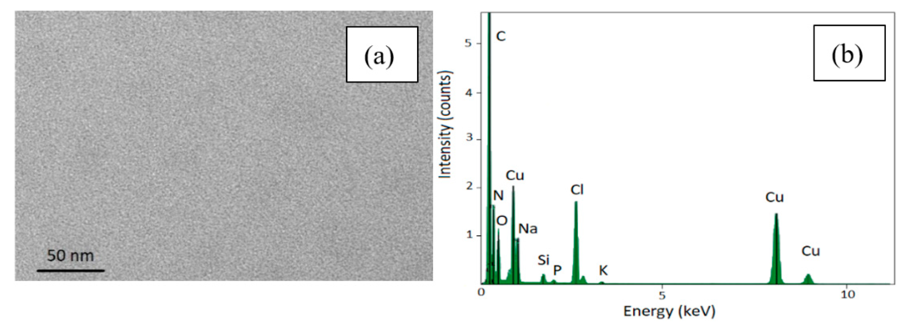 Nanomaterials 10 00463 g005