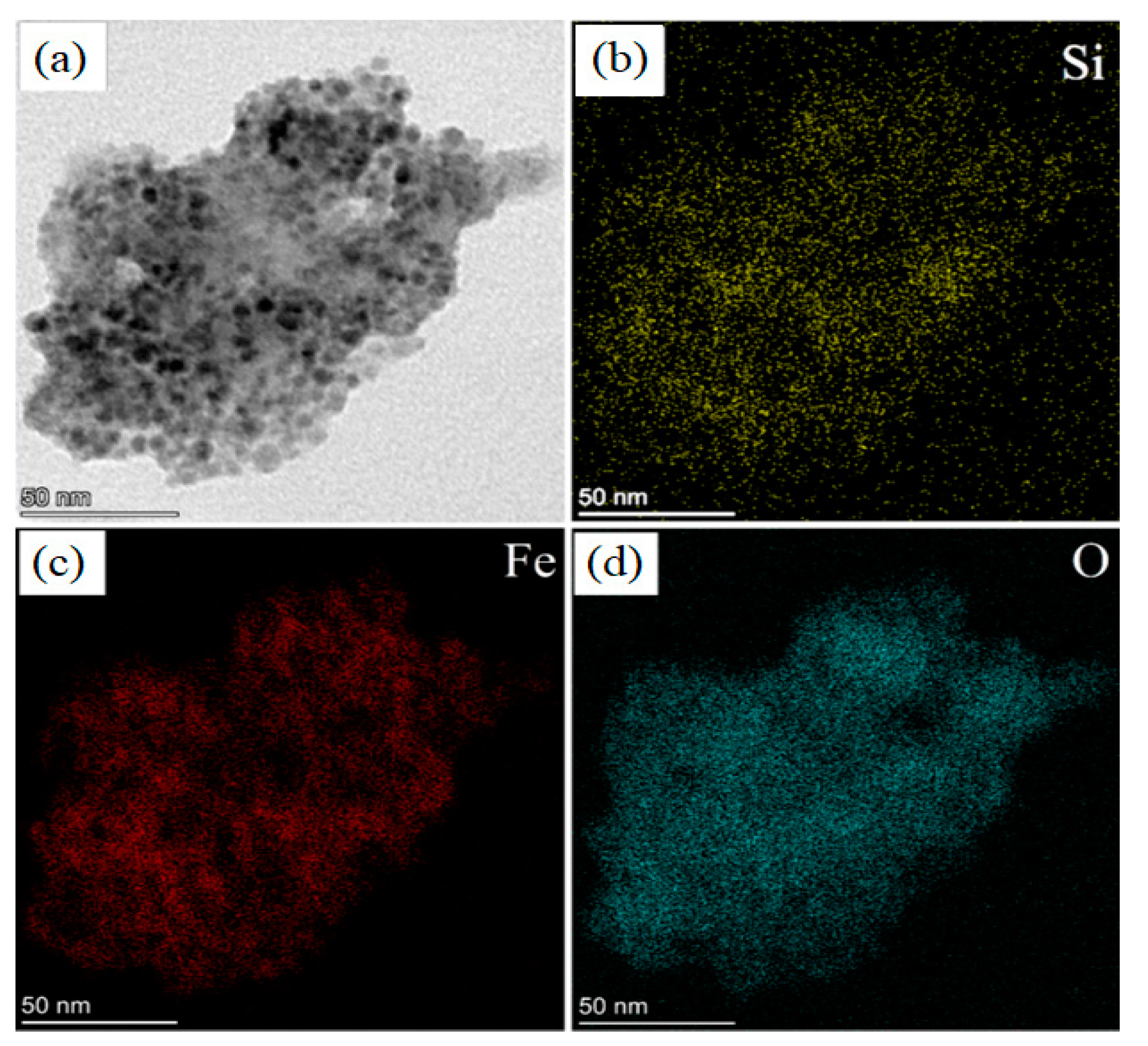 Nanomaterials 10 00463 g006