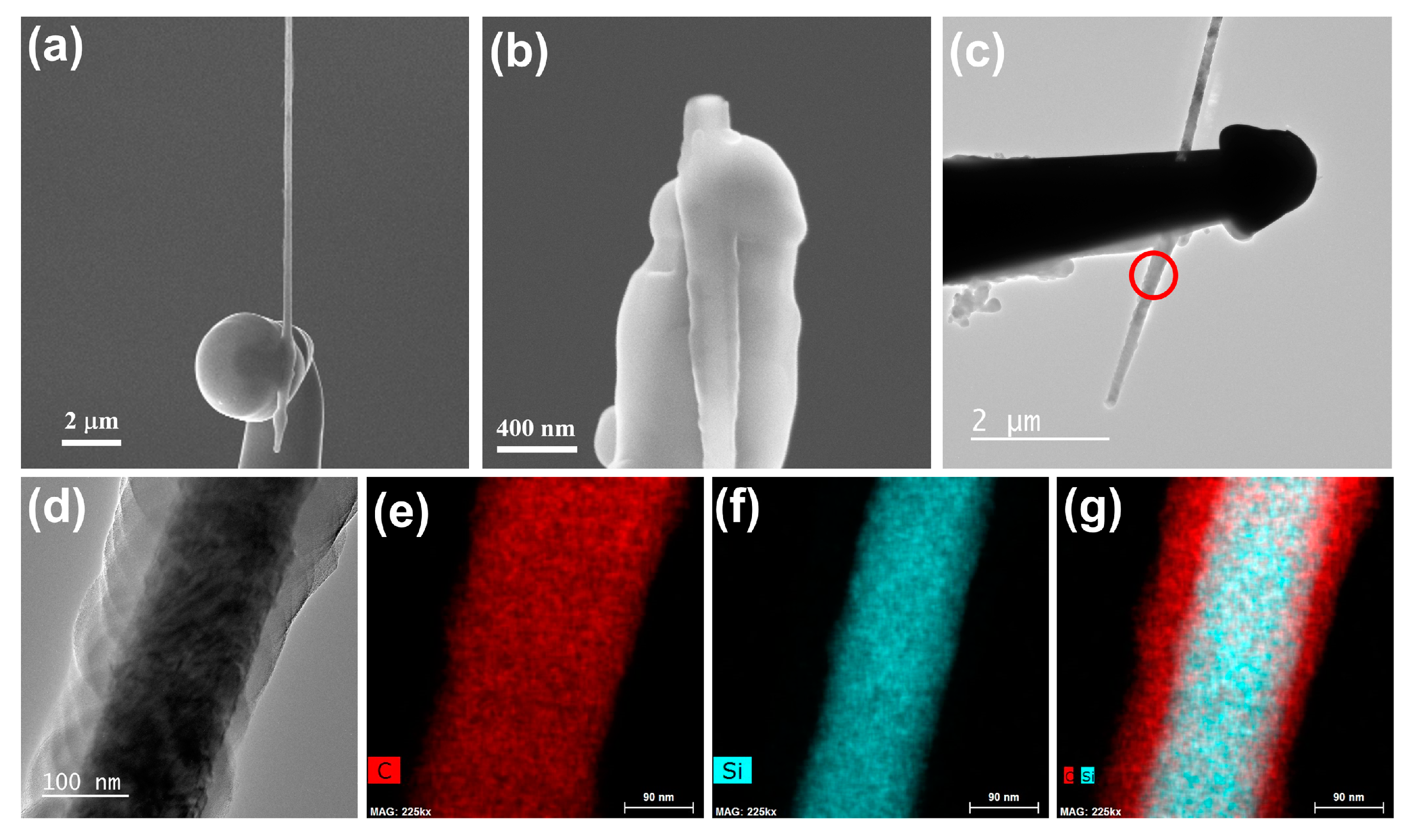 Nanomaterials 10 00469 g009 Nanomaterials 10 00469 g009