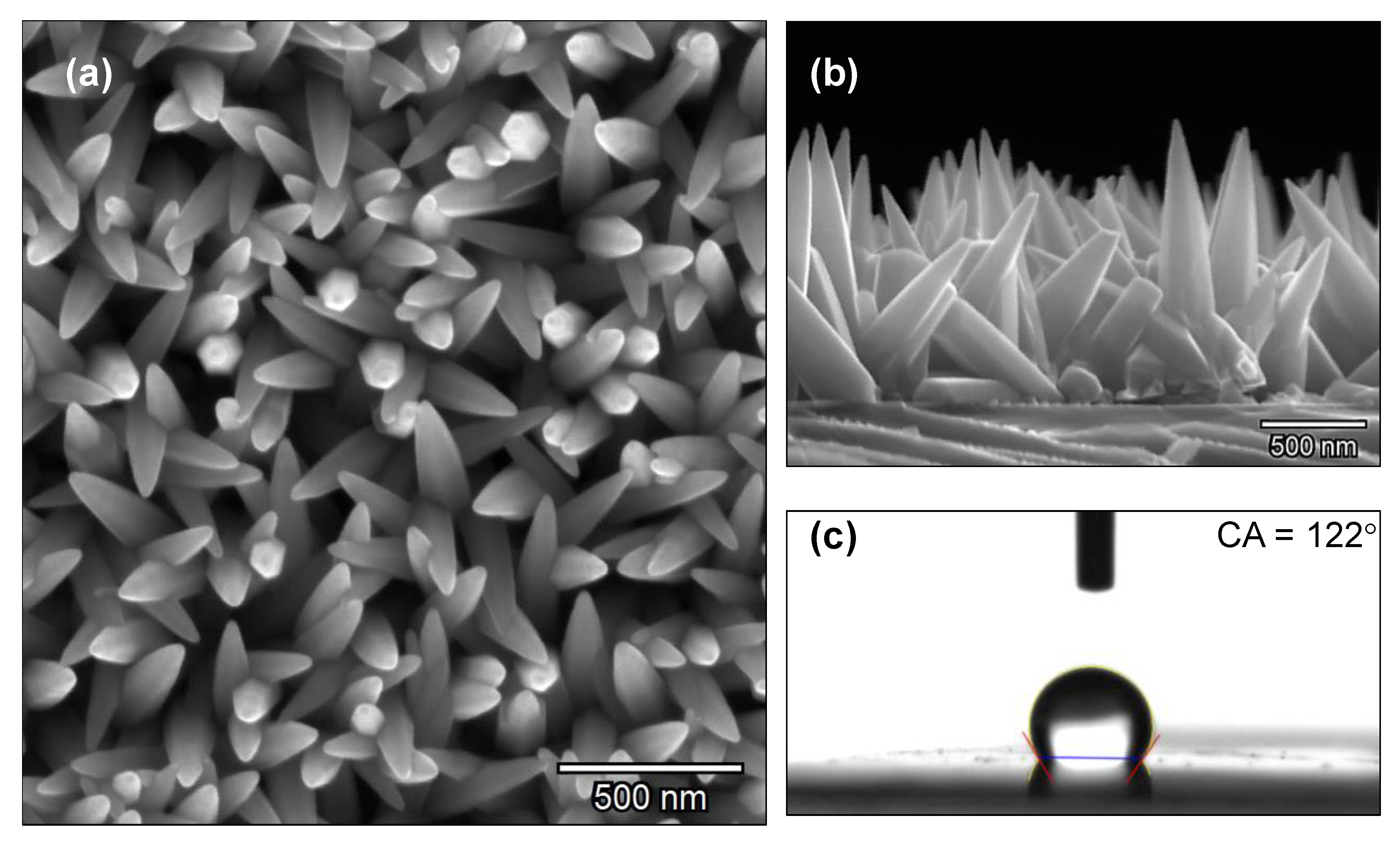Nanomaterials 10 00471 g001