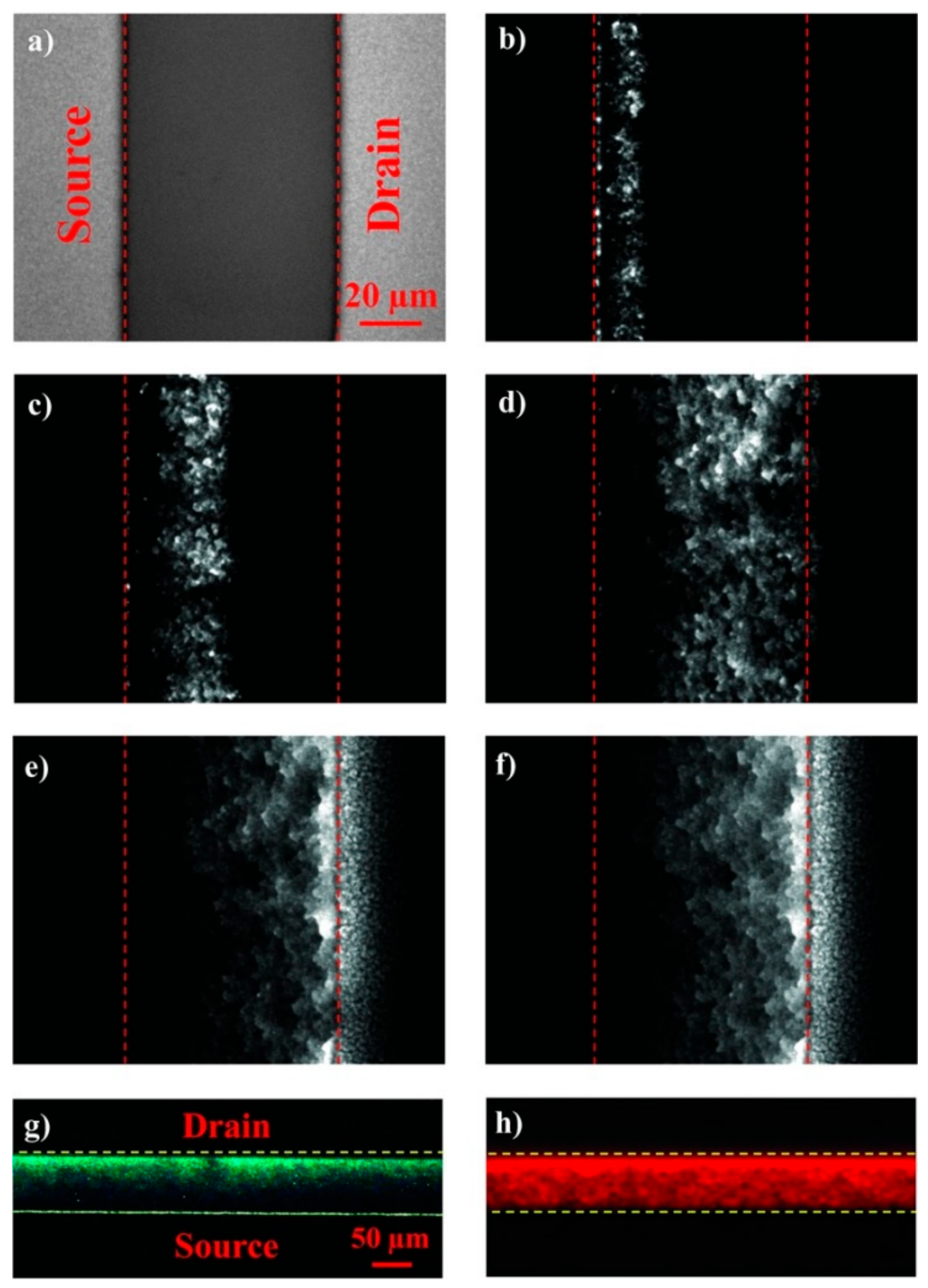 Nanomaterials 10 00480 g002