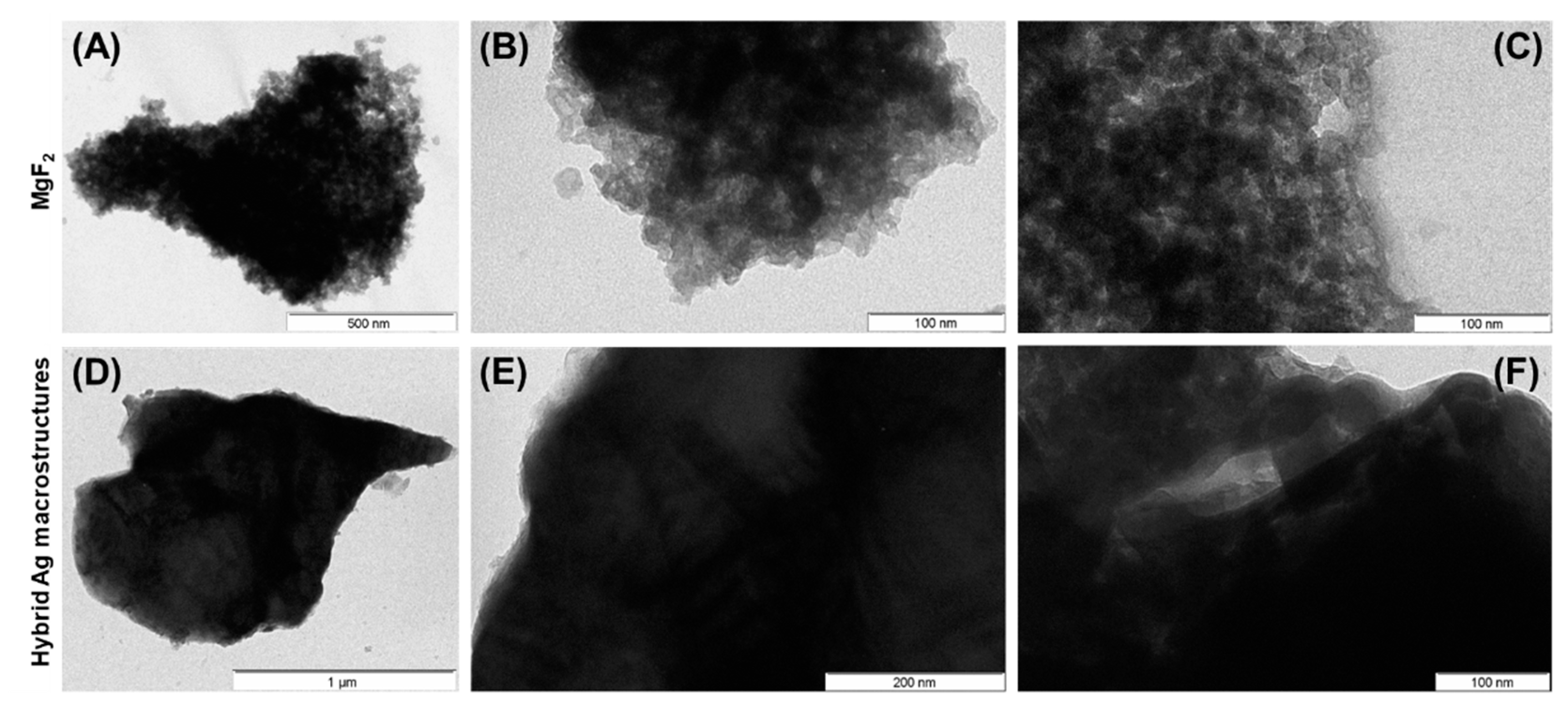 Nanomaterials 10 00481 g002