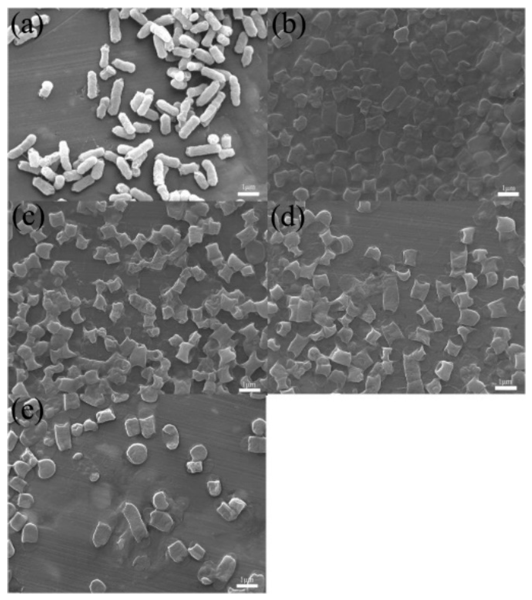 Nanomaterials 10 00489 g009 Nanomaterials 10 00489 g009