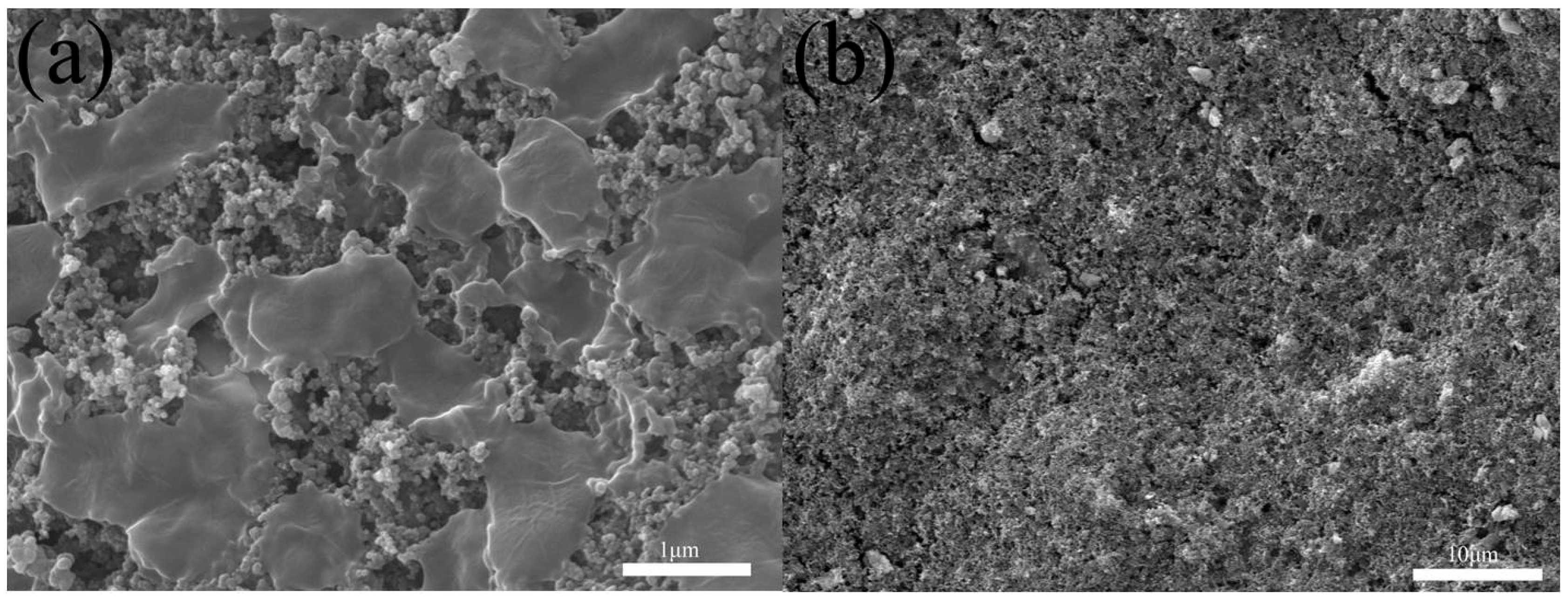 Nanomaterials 10 00489 g012 Nanomaterials 10 00489 g012