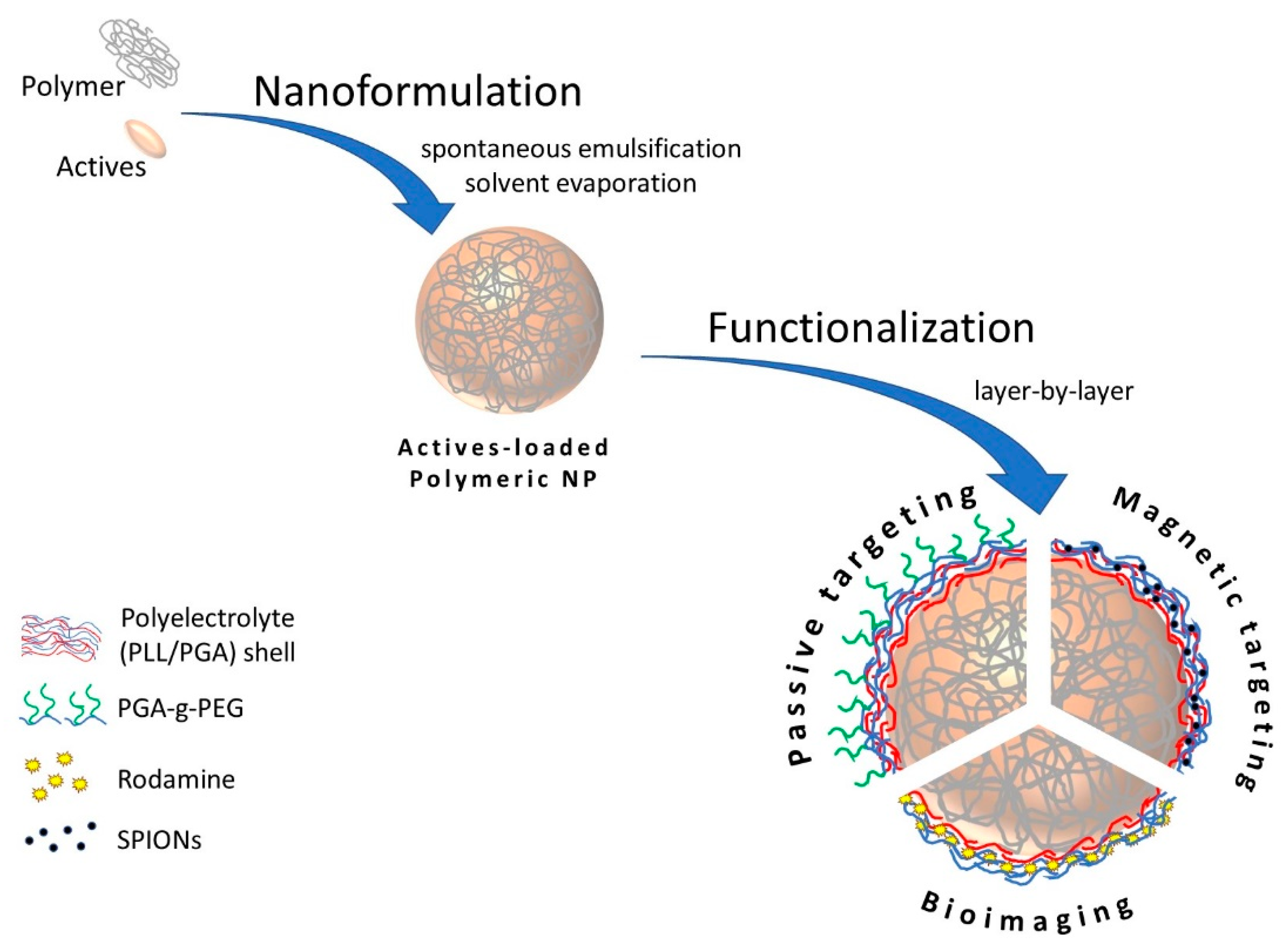 Nanomaterials 10 00496 g001