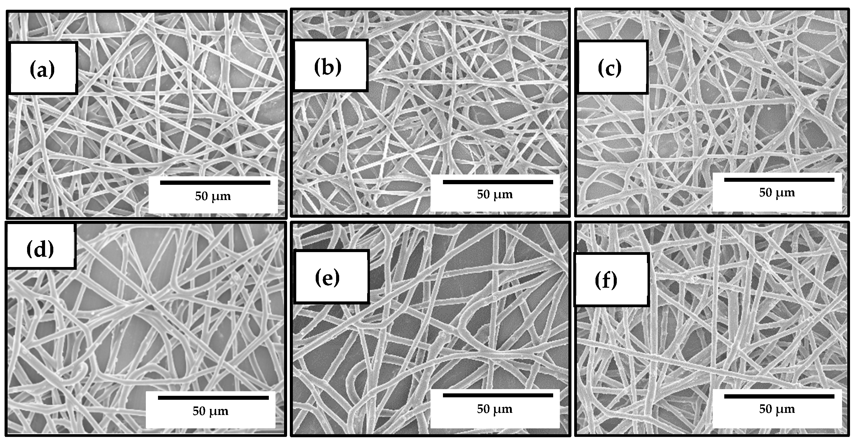 Nanomaterials 10 00506 g002