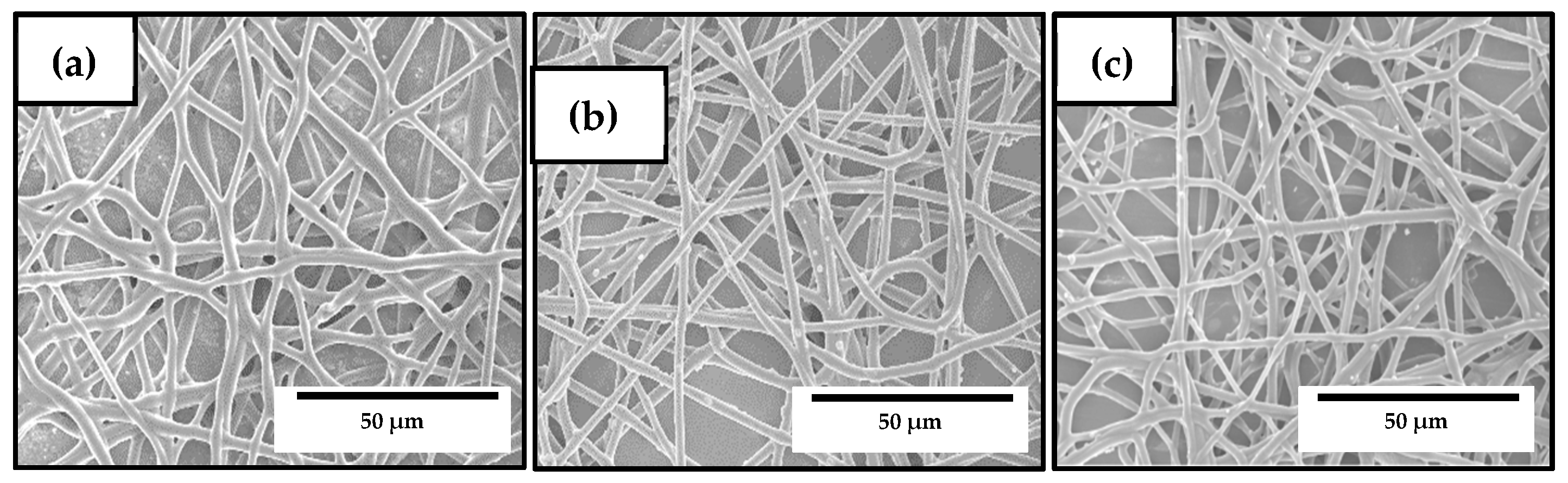 Nanomaterials 10 00506 g006