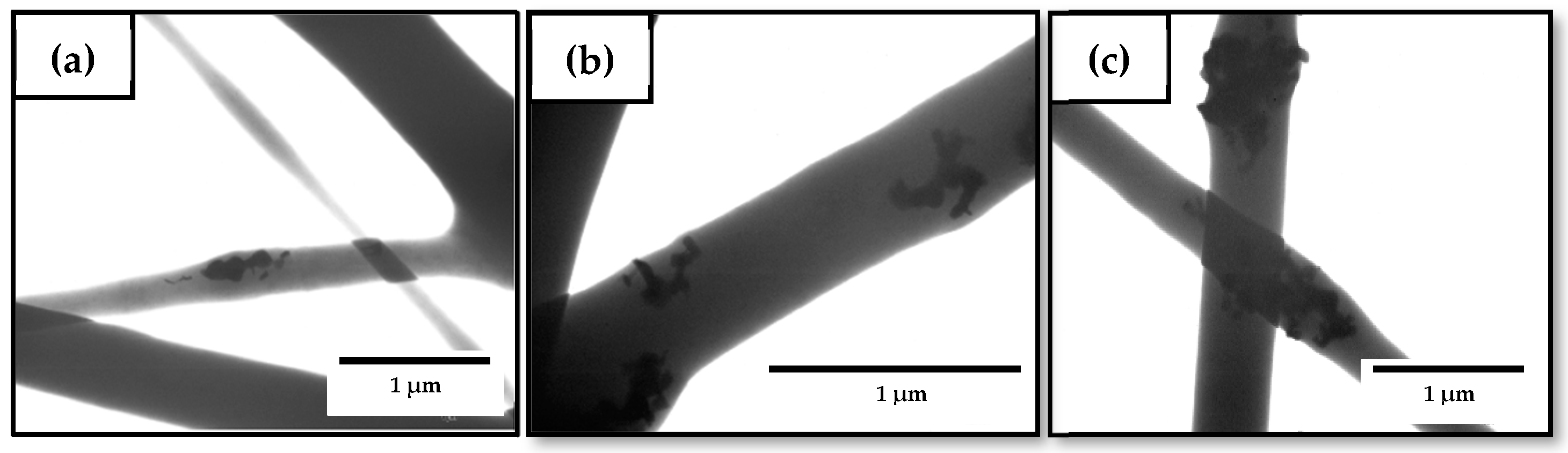 Nanomaterials 10 00506 g007