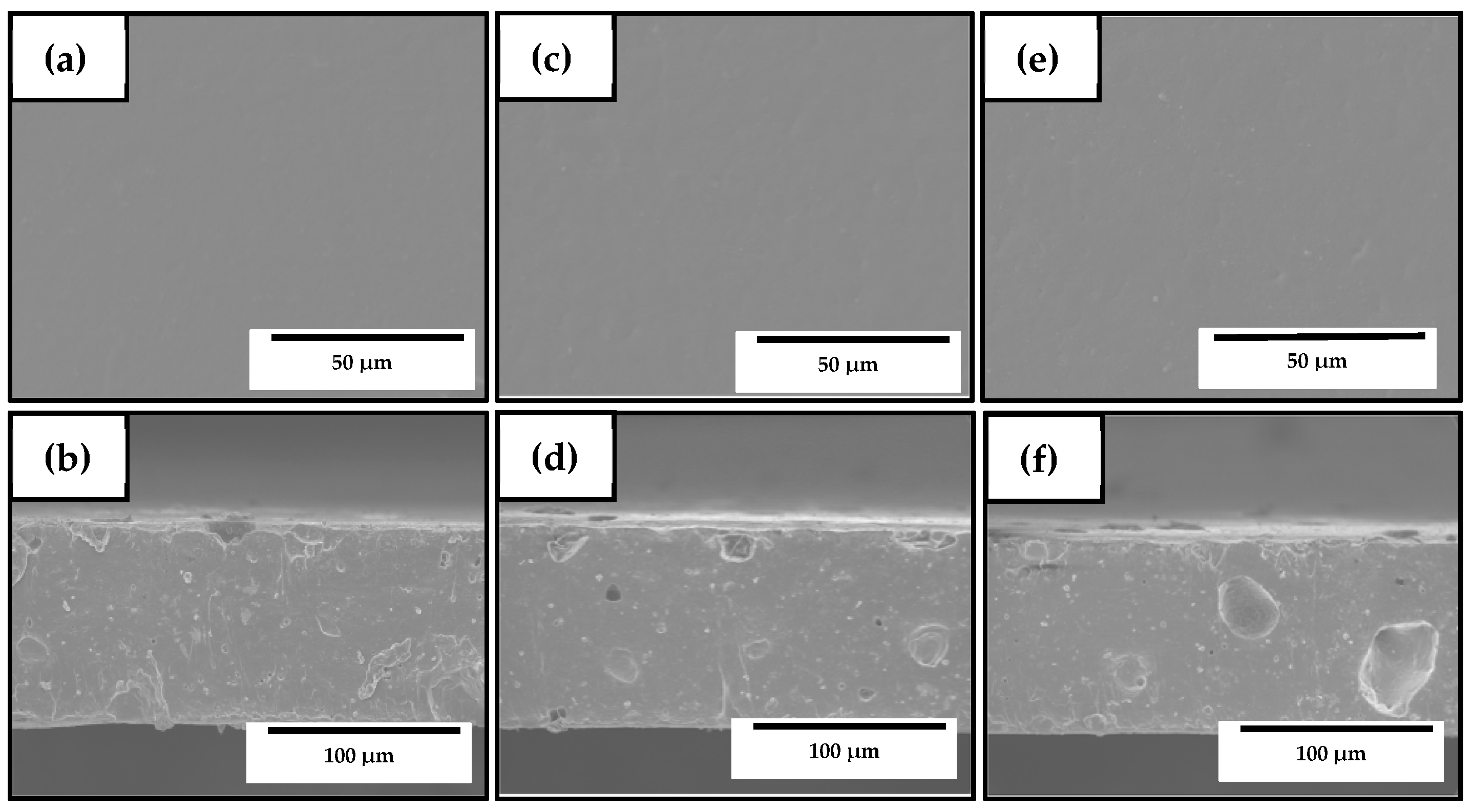 Nanomaterials 10 00506 g008